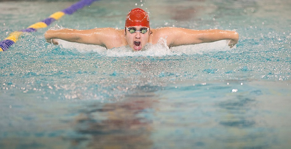 swimdive vs hamline 02012014 kmh 19