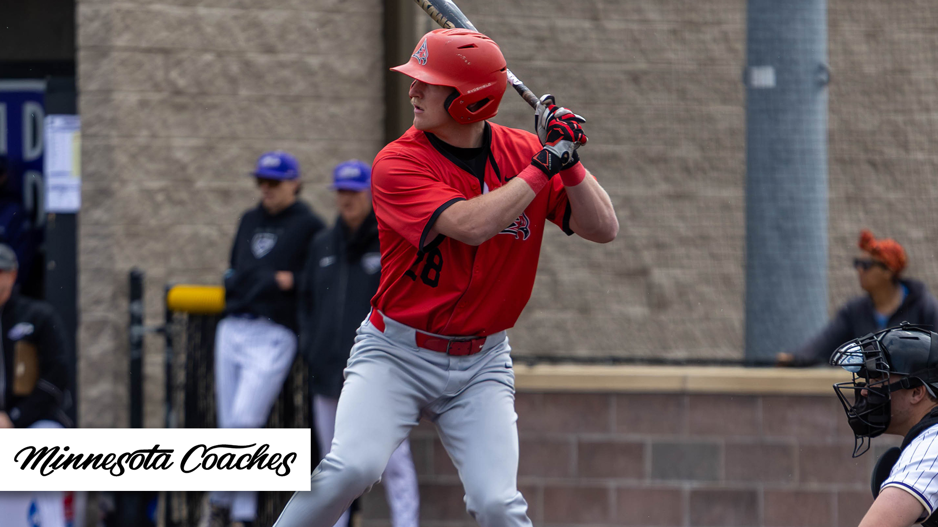 recap_skoglund
