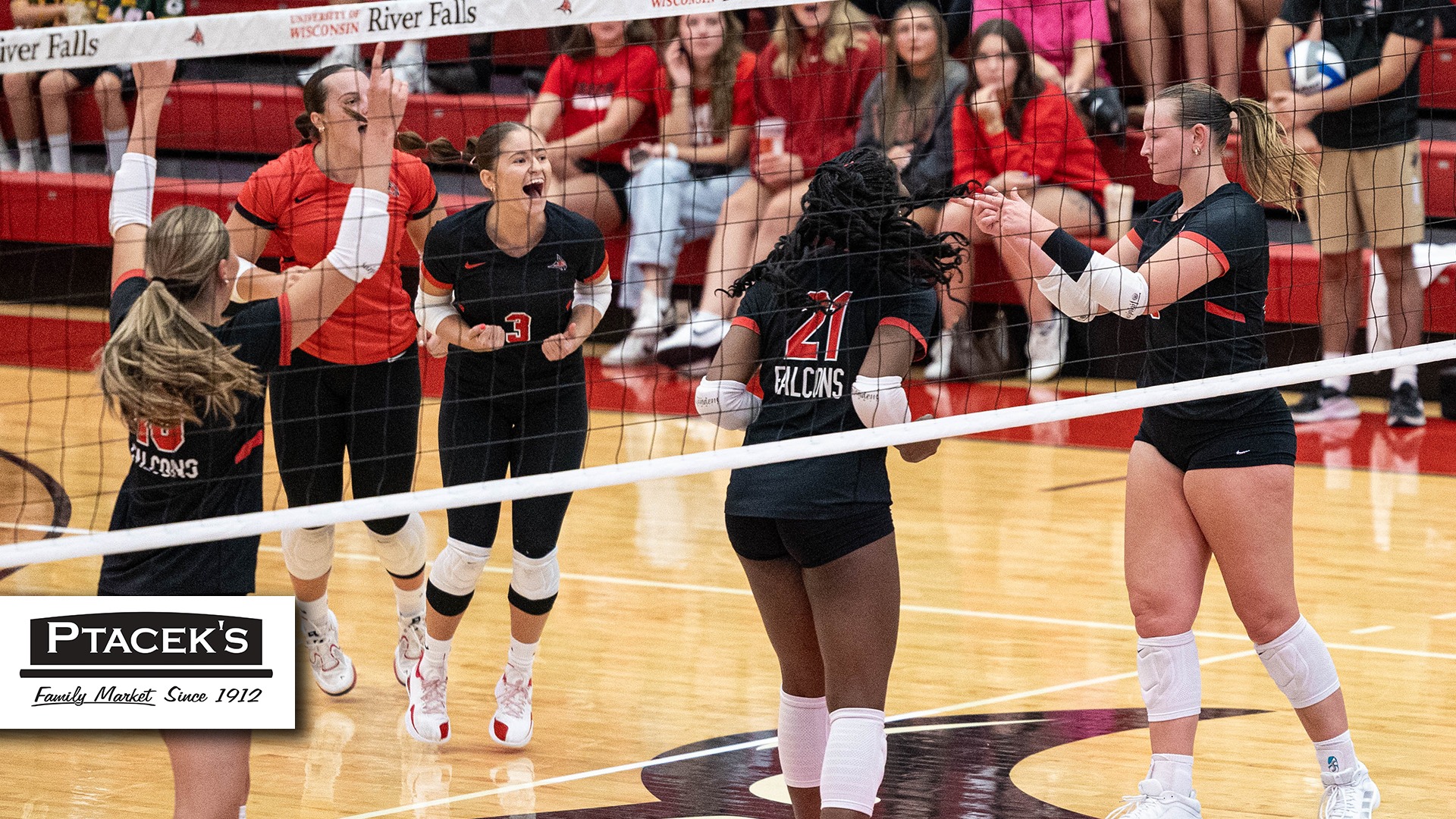 recap_vb