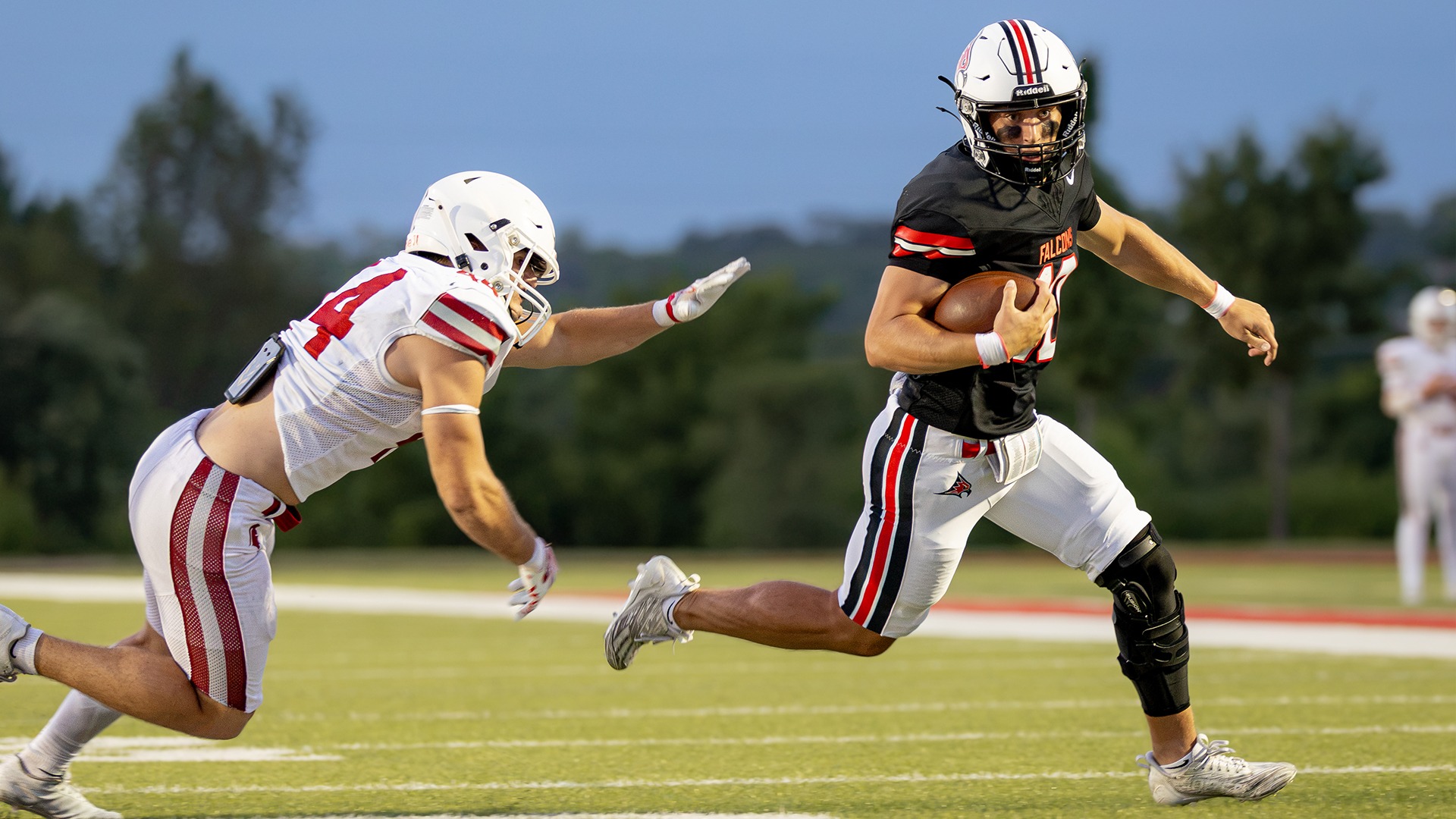 fitzgerald_cade