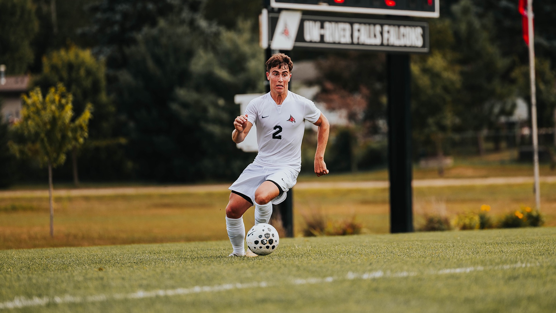 9.5msoc.preview
