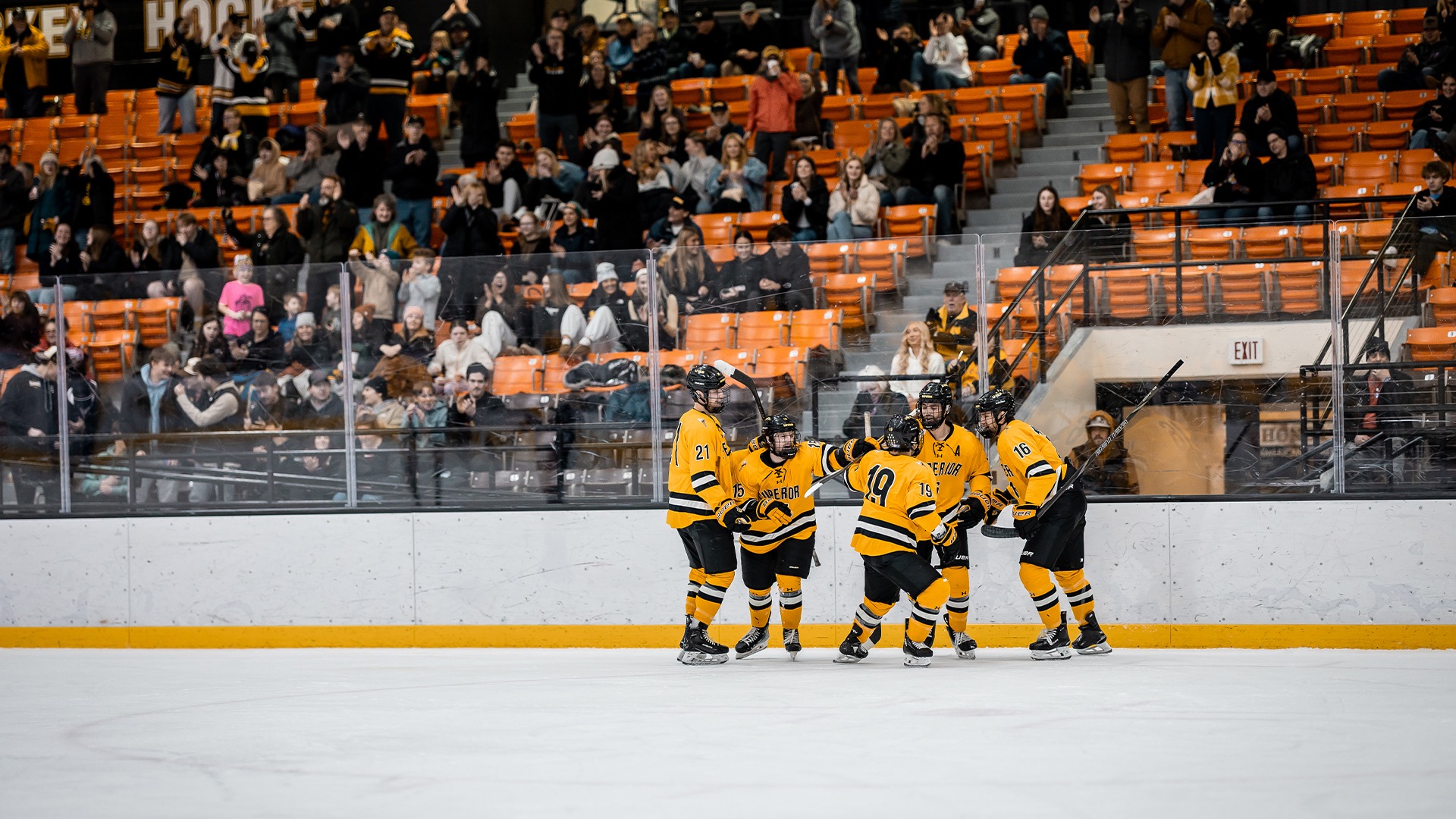 The men's hockey team after a goal.