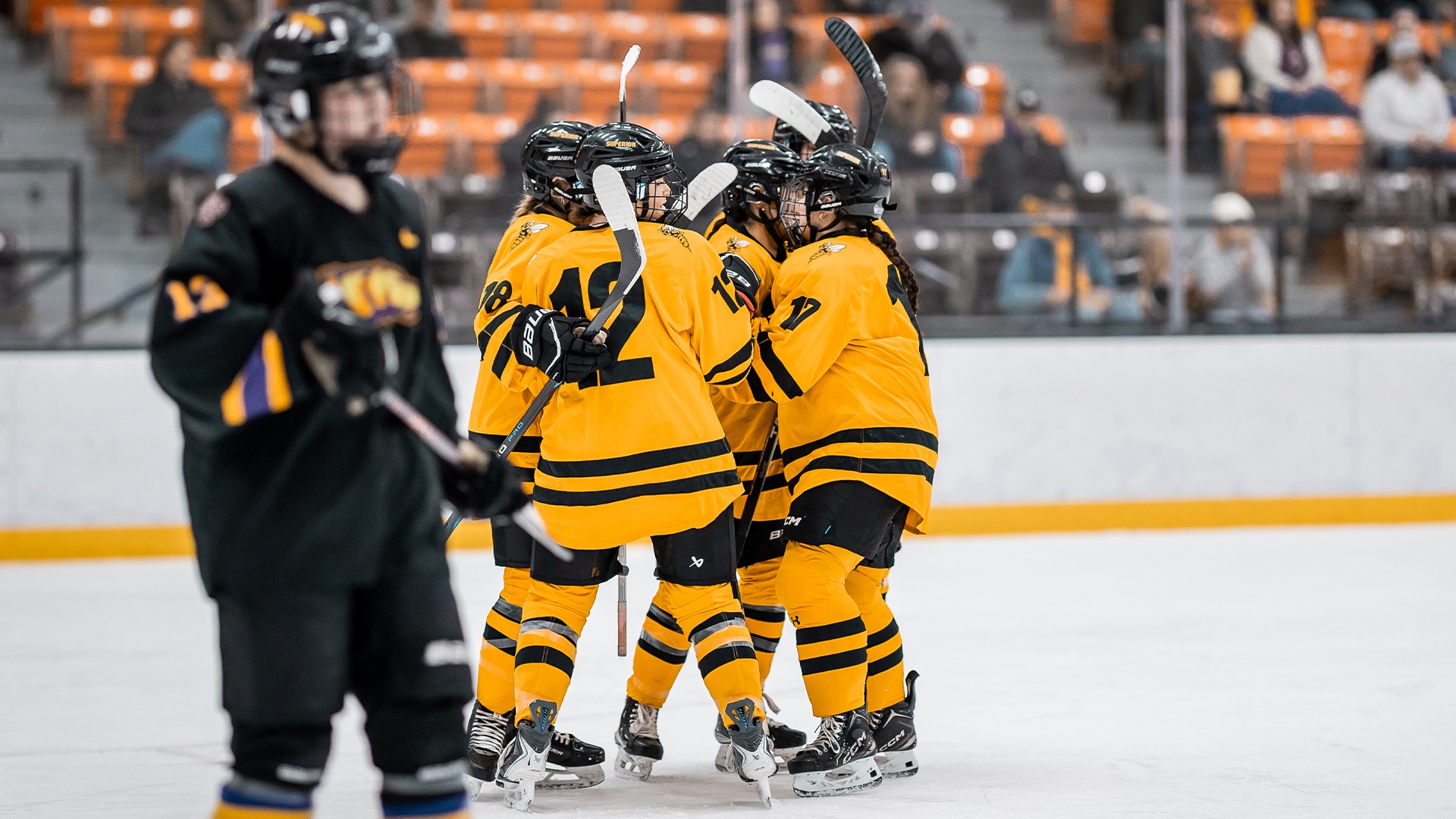 Members of the women's hockey team celebrating a goal.