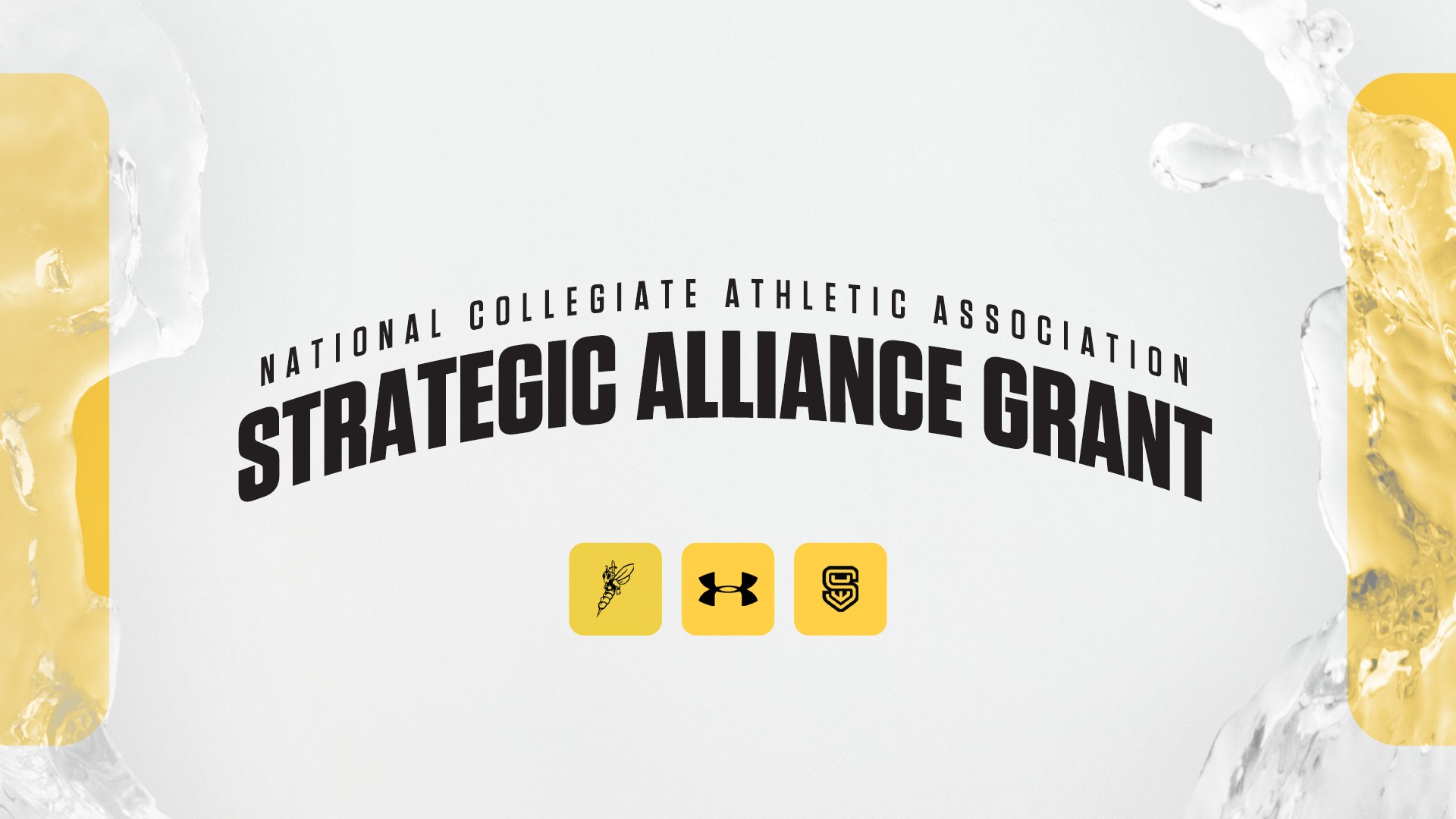NCAA Strategic Alliance Grant