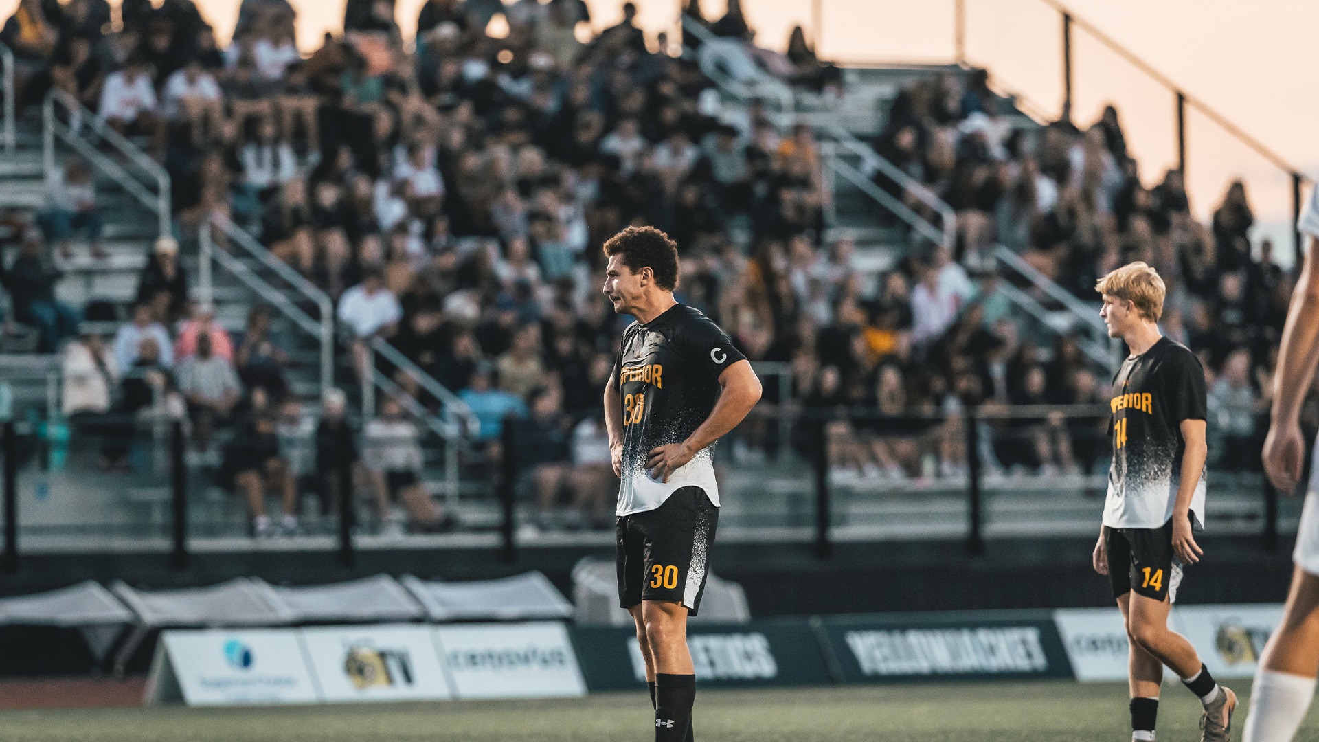 Bryce Boldt looking out to the field following a stoppage of play.