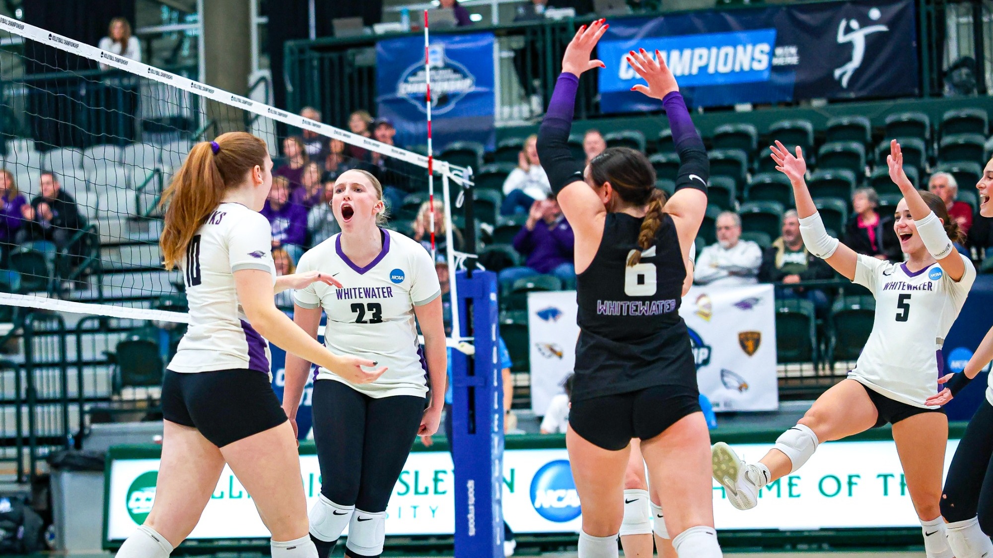 Warhawks celebrate after a point in the First Round of NCAA Regionals