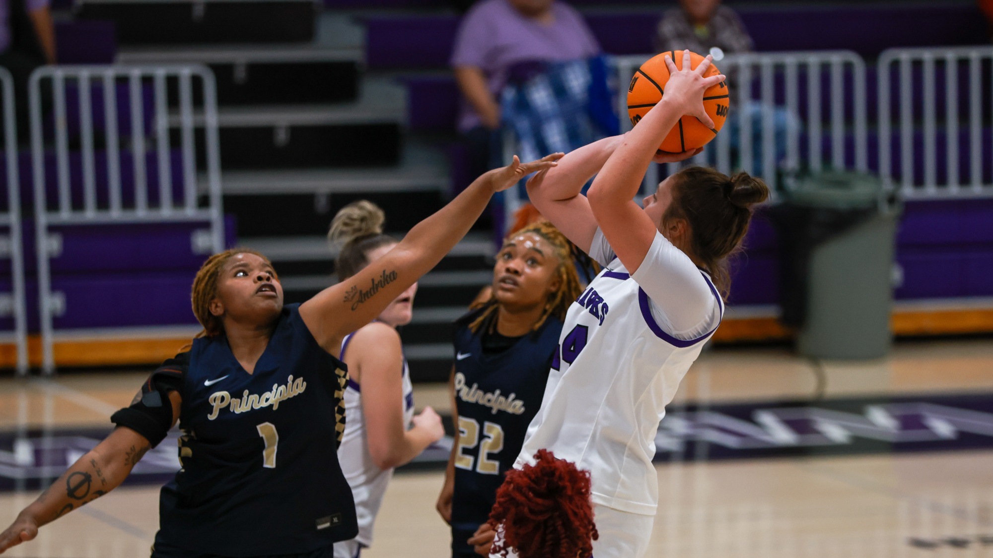 Anderson Jumper over Principia