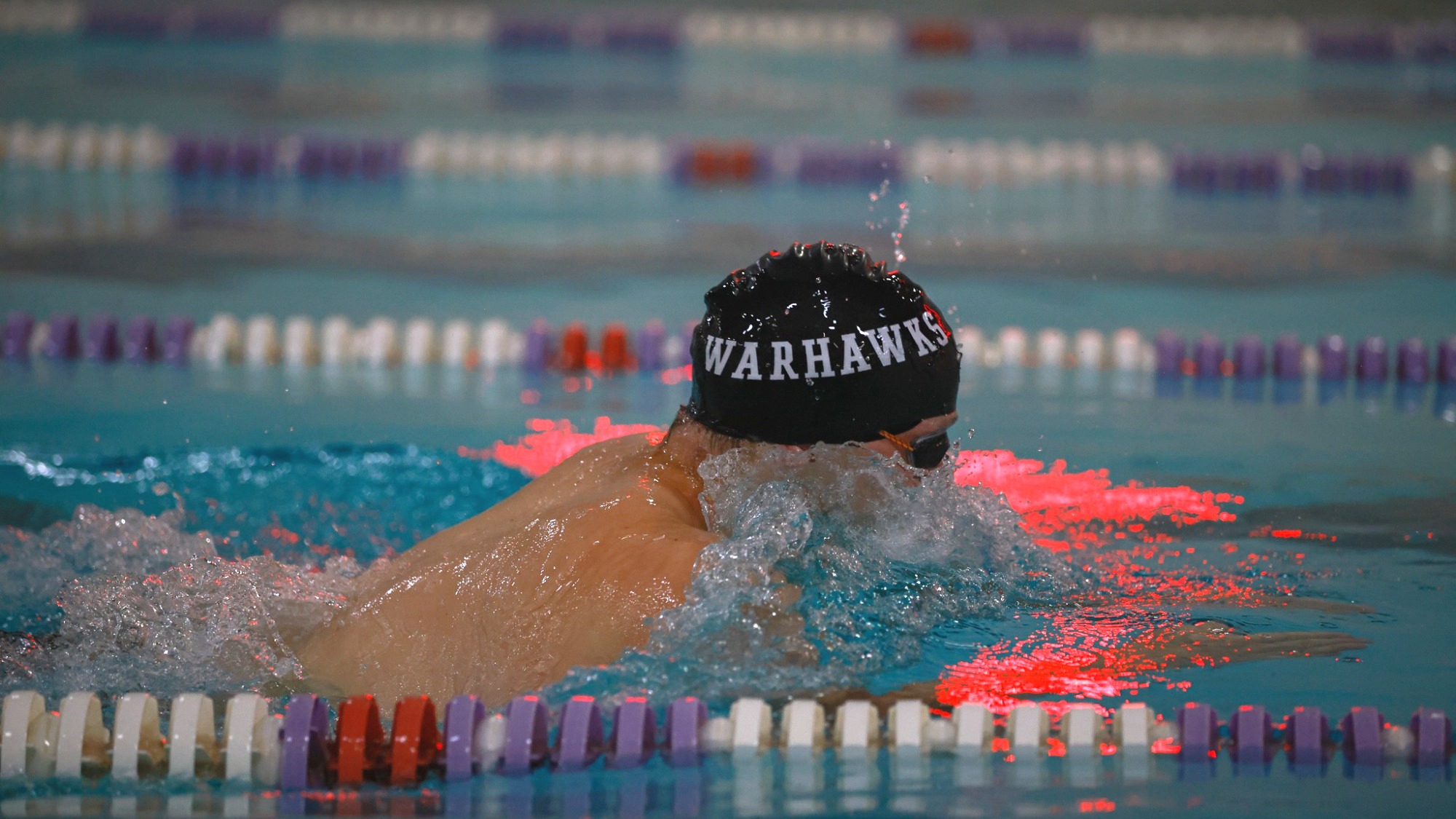 Warhawk men's swimmer