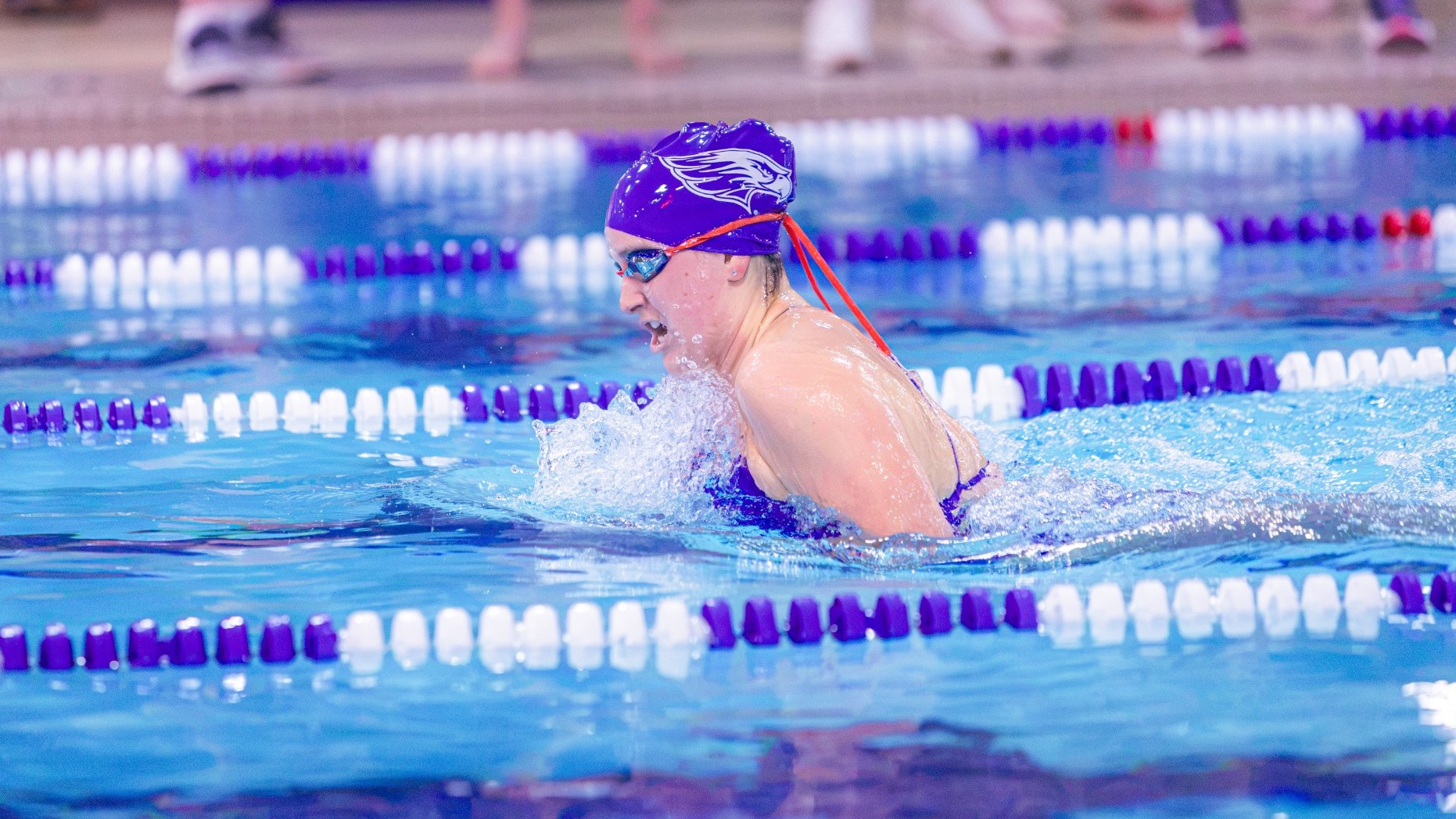 Warhawk swimmer