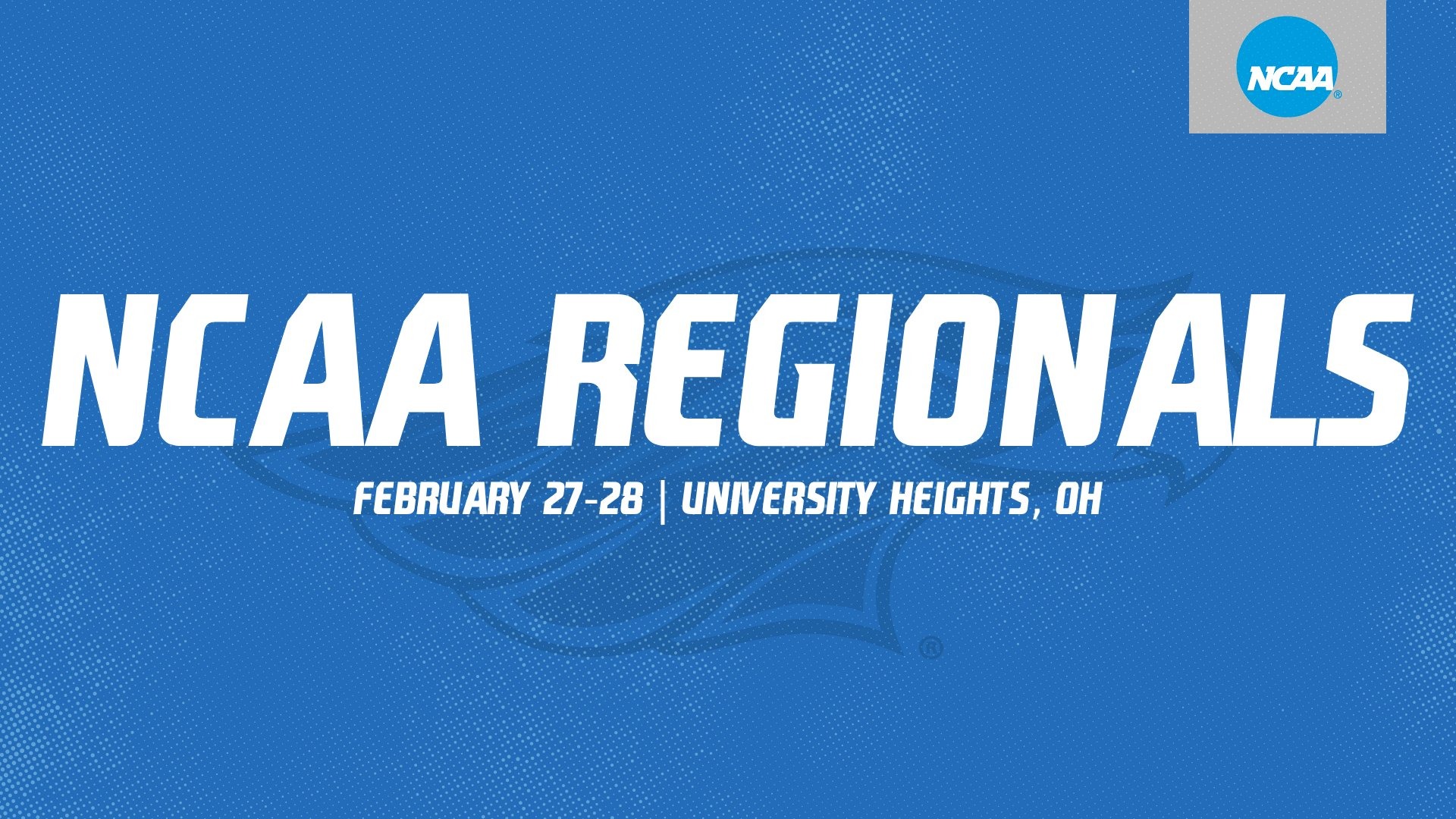 Generic graphic with text 