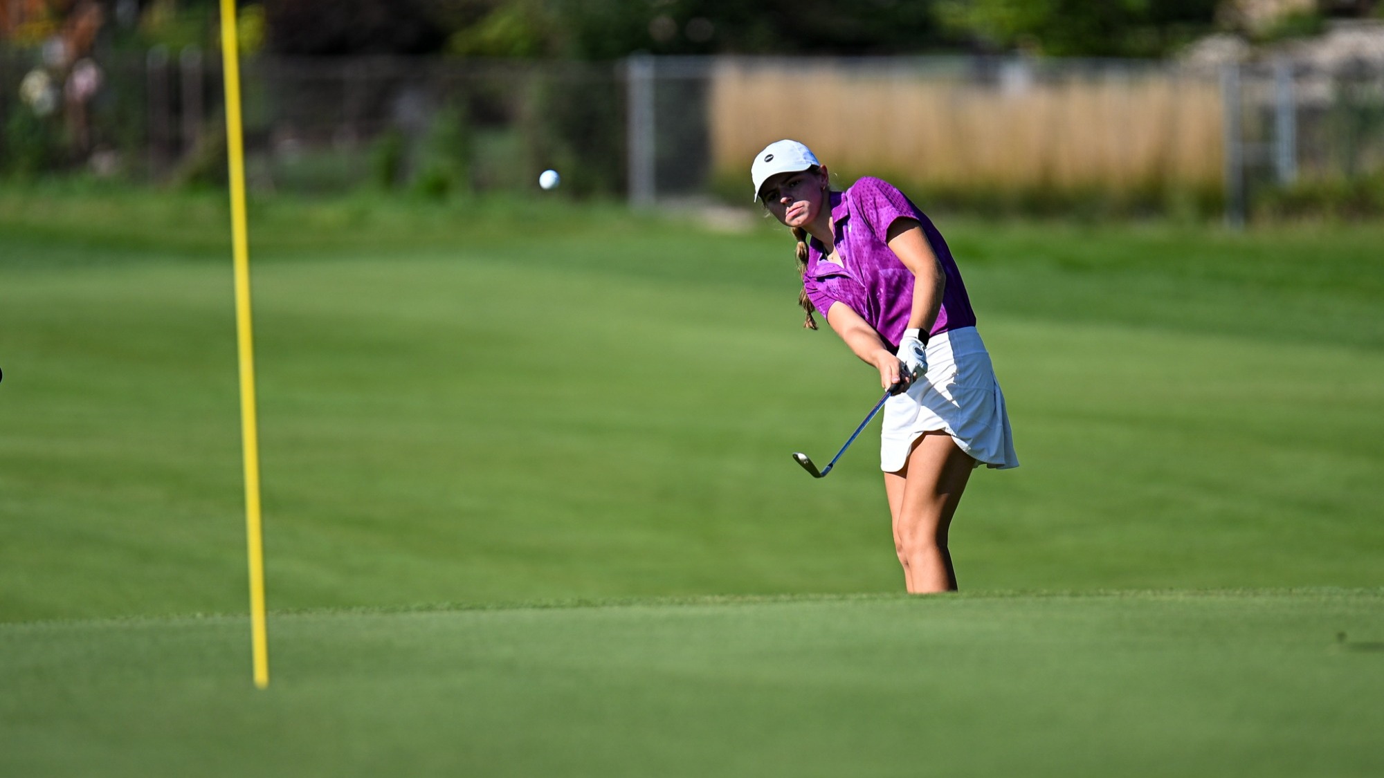 Warhawk golfer competing in the fall of 2025