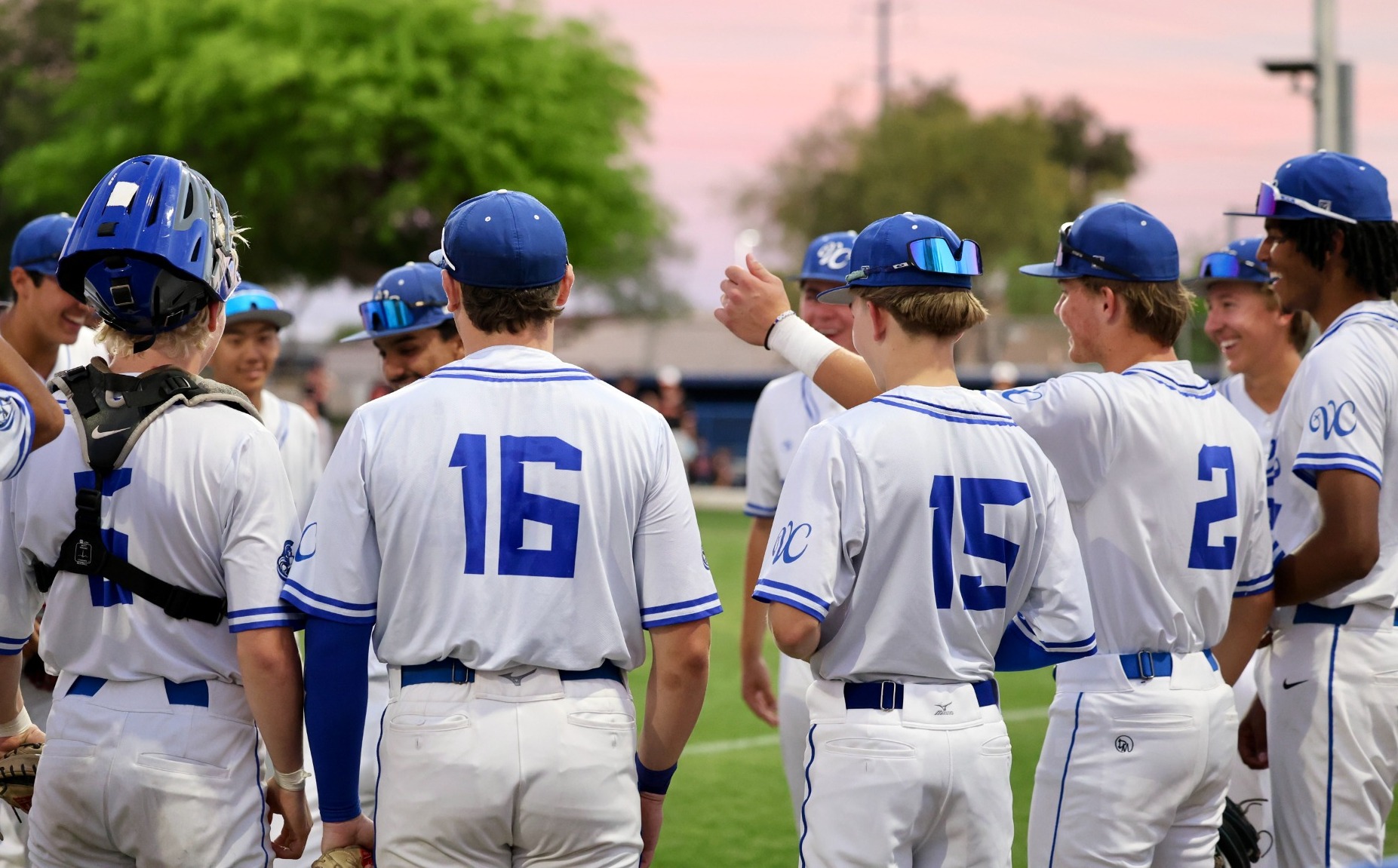 home baseball libertyville