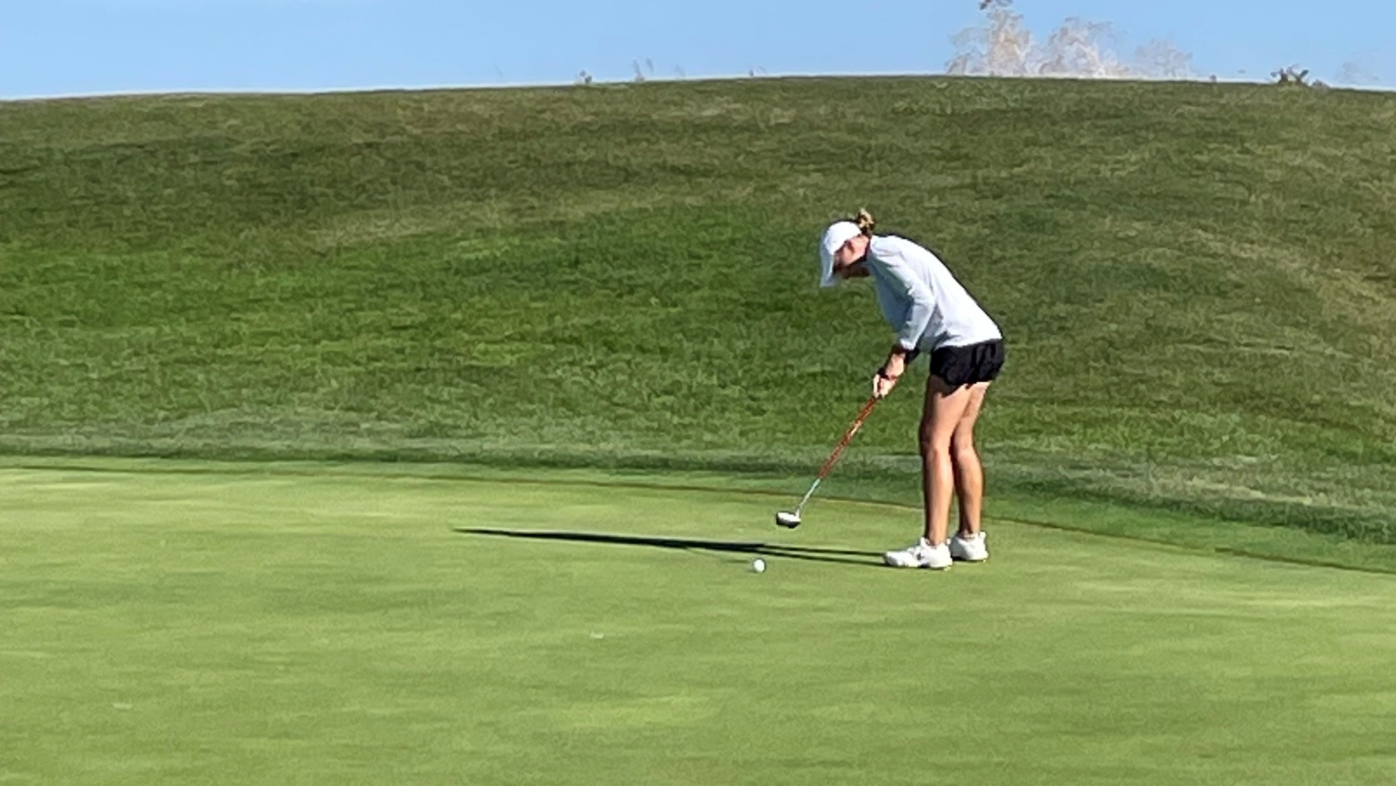 Estridge Chicago State