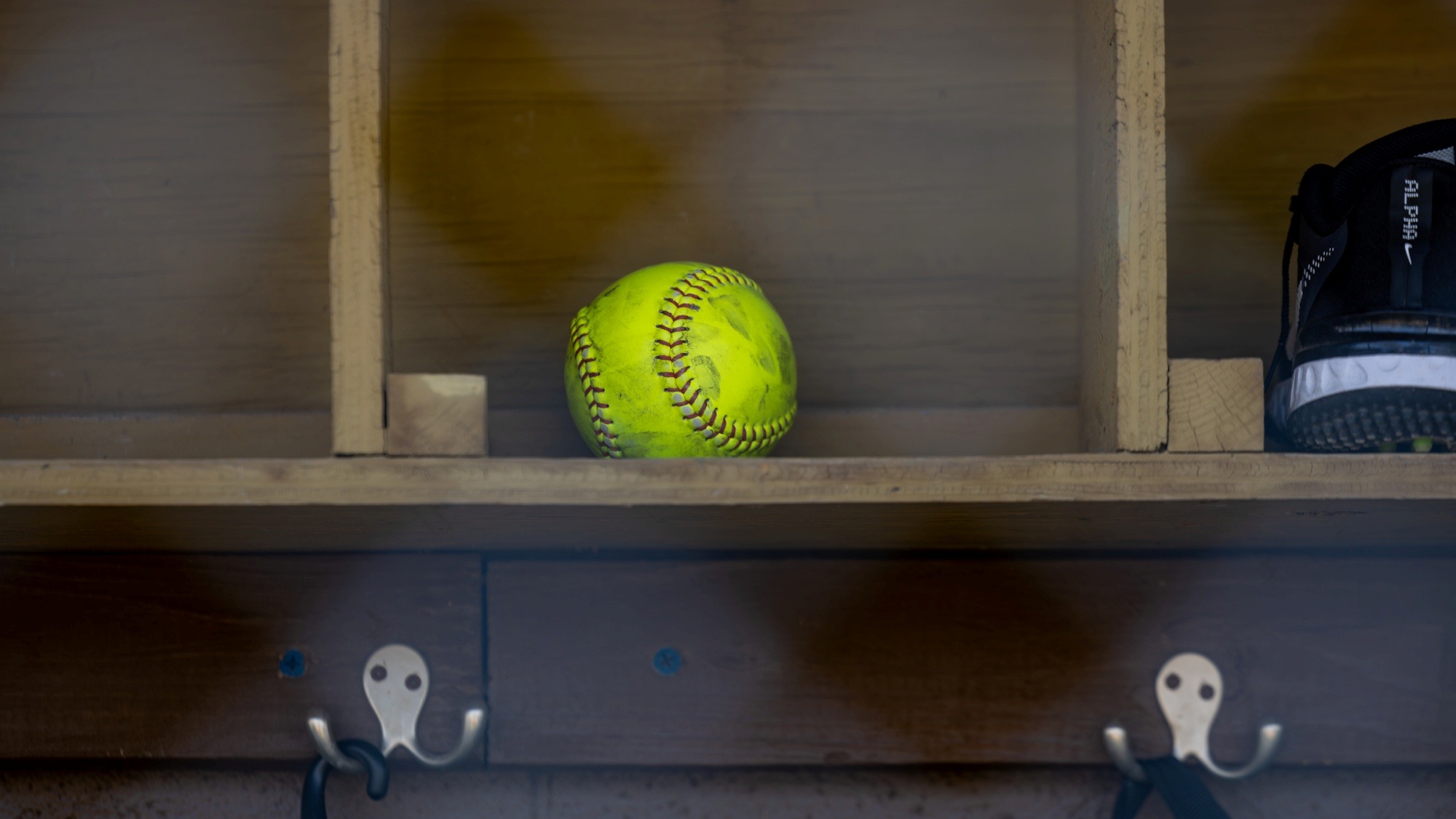 SFT generic softball