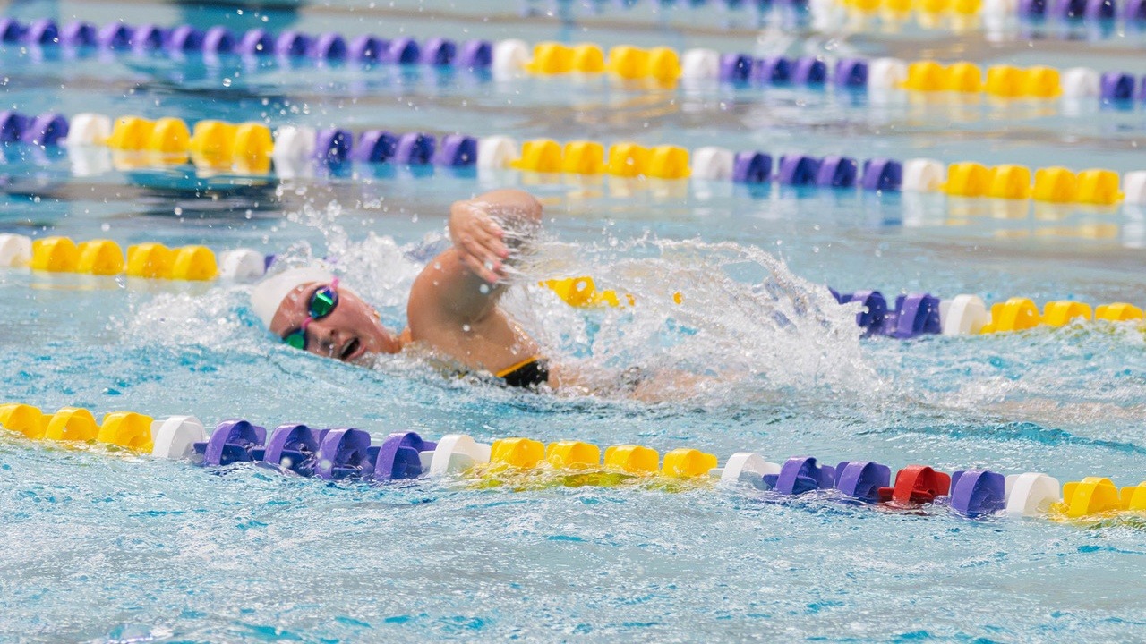 2026-27 WSWM free swimmer