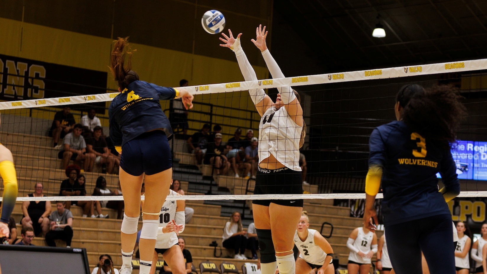 2026 VB Jessica Pickett action shot
