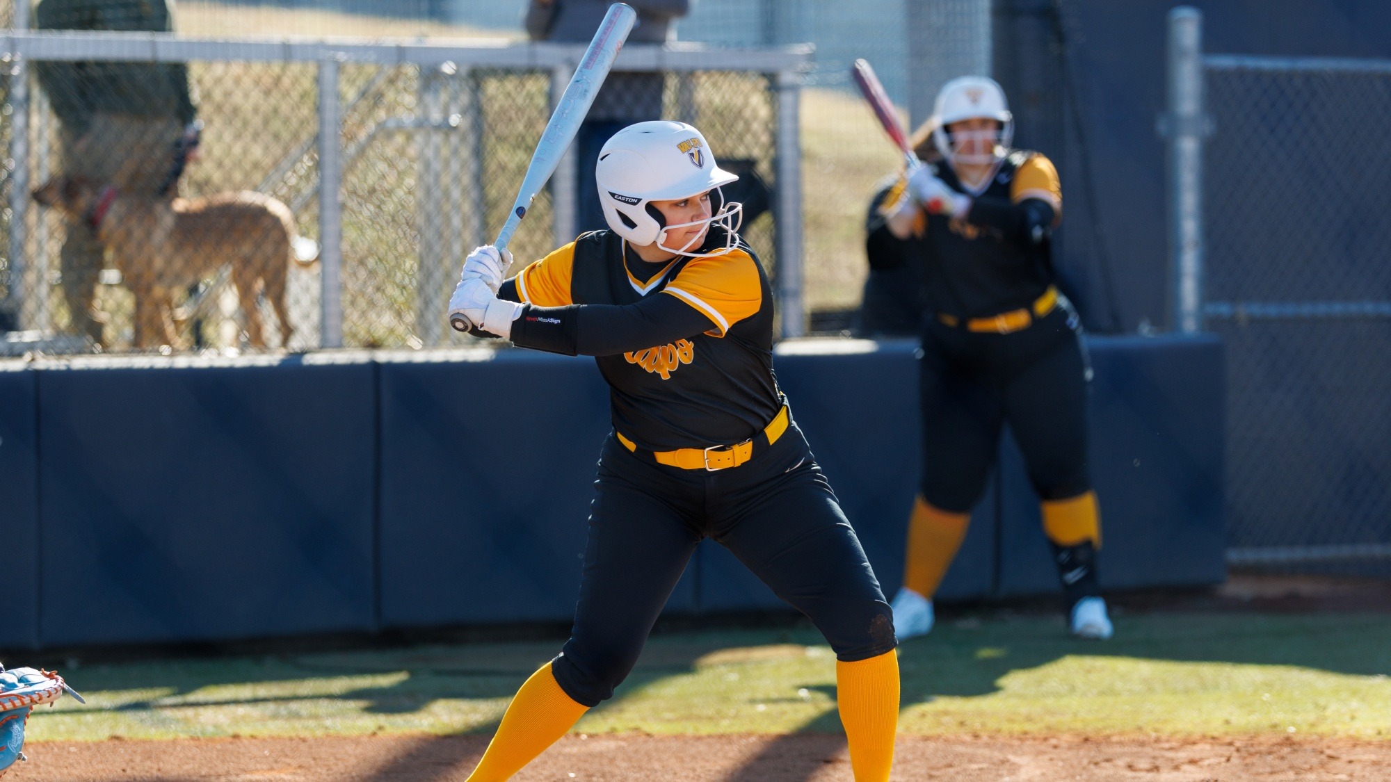 2026 SFT Grace Hollopeter action shot