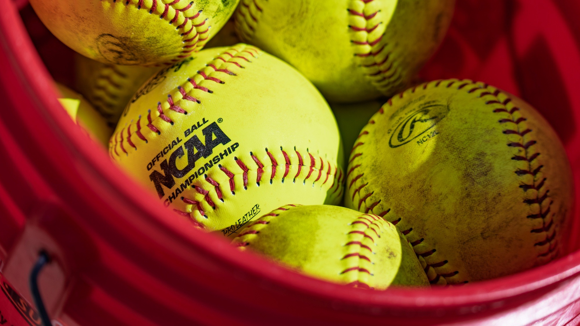 SFT Generic softballs