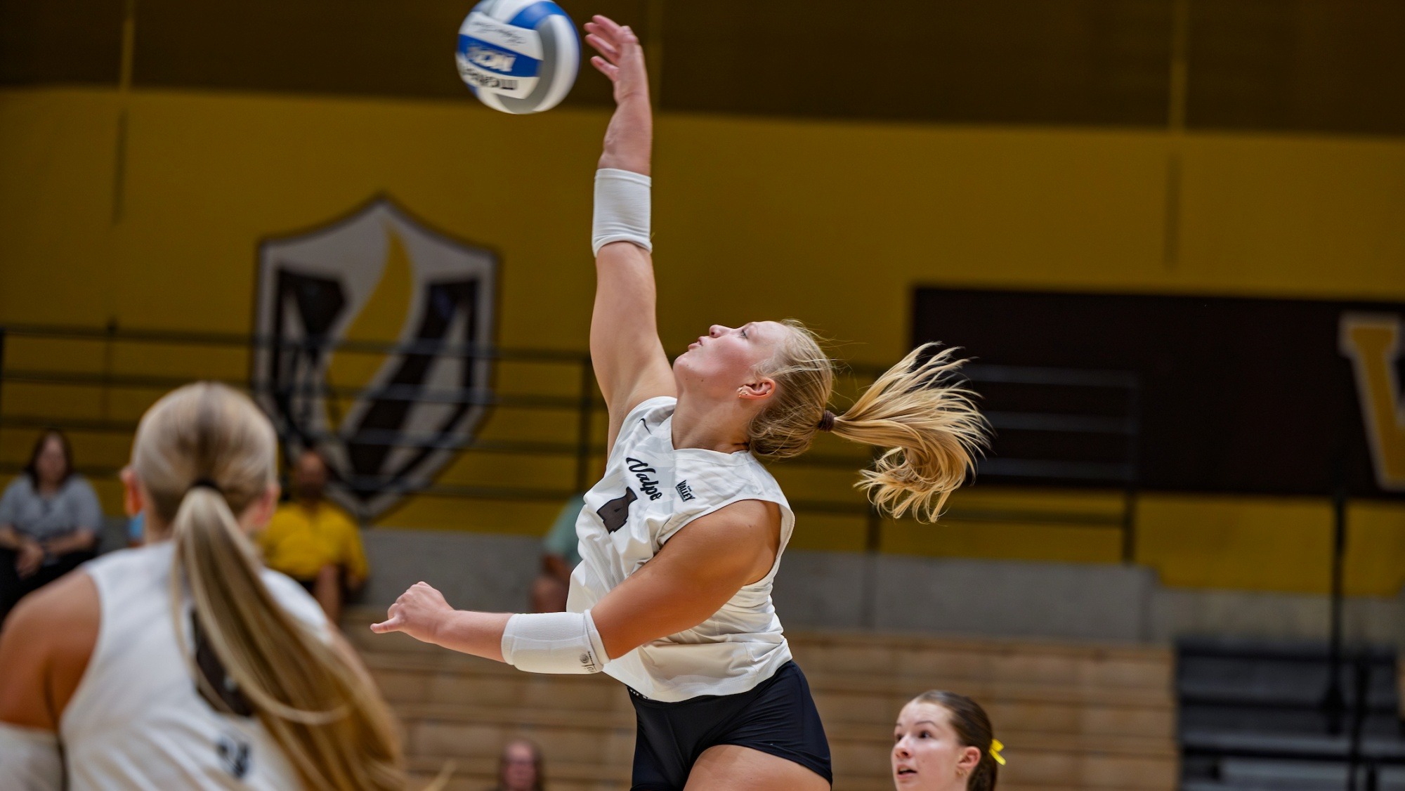 2025 VB Jordyn Gove action shot