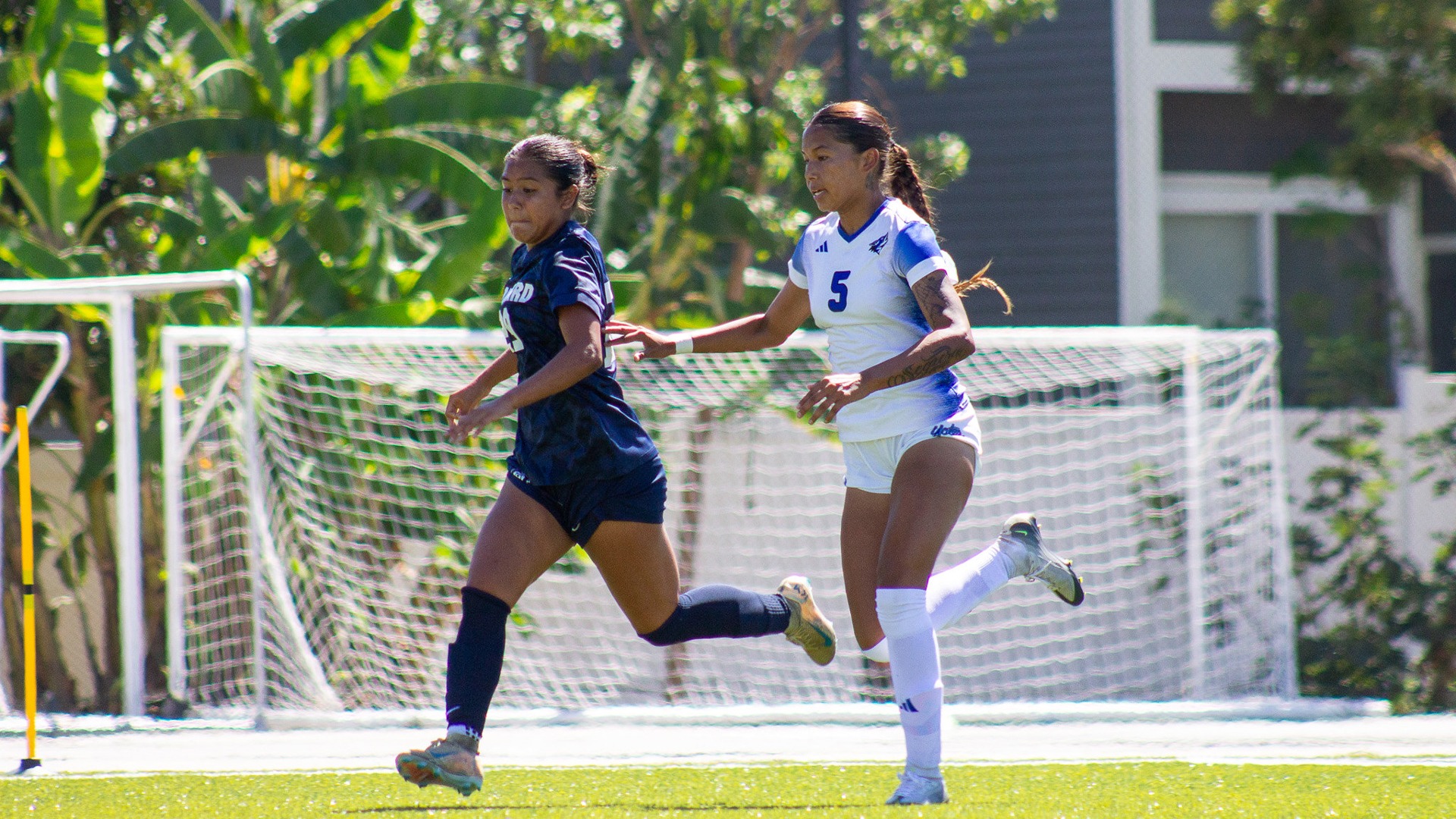2026 WSOC Sep. 15