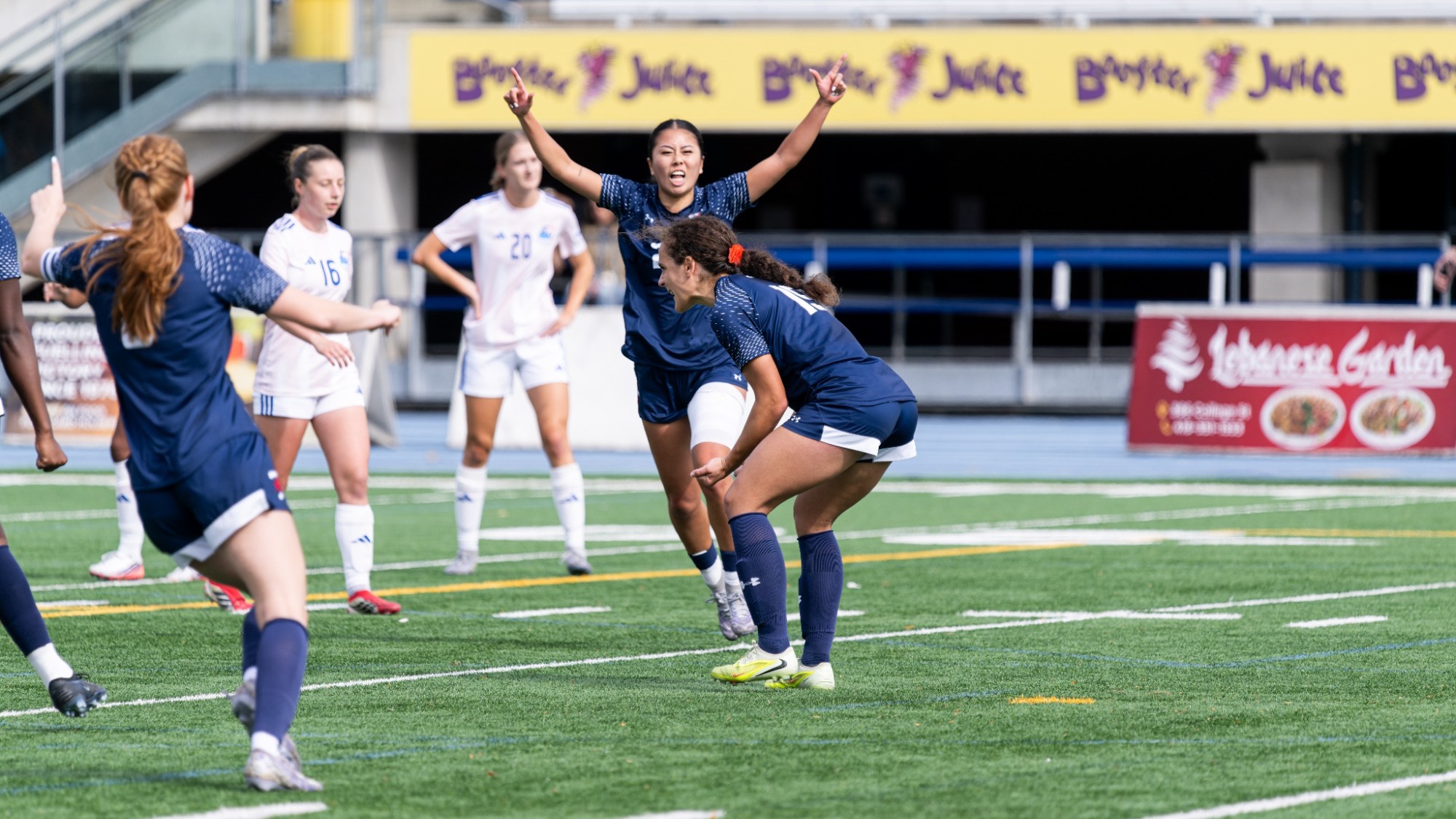 WSOC/Celebration