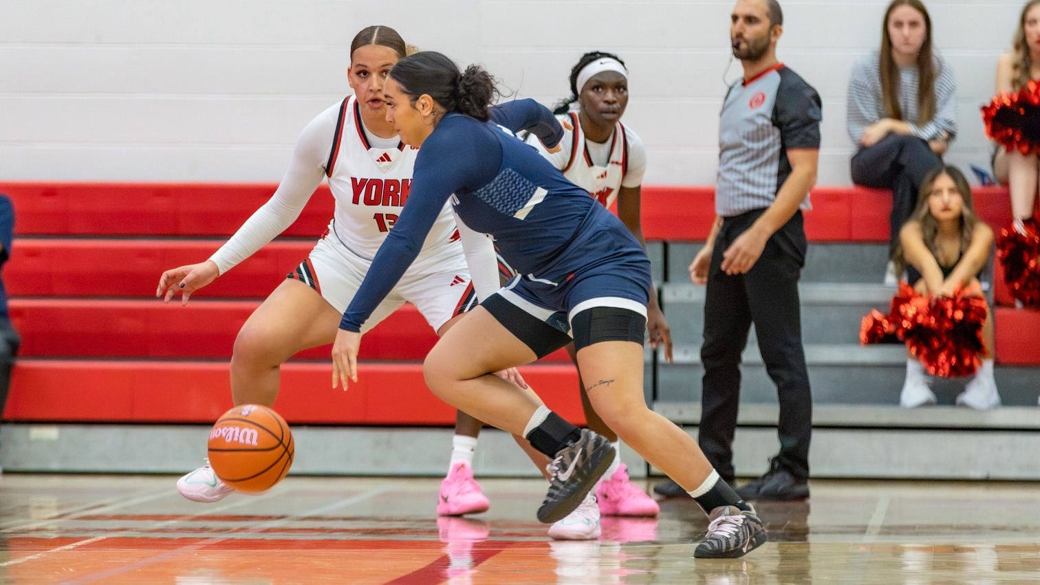 WBB Diana Comsa