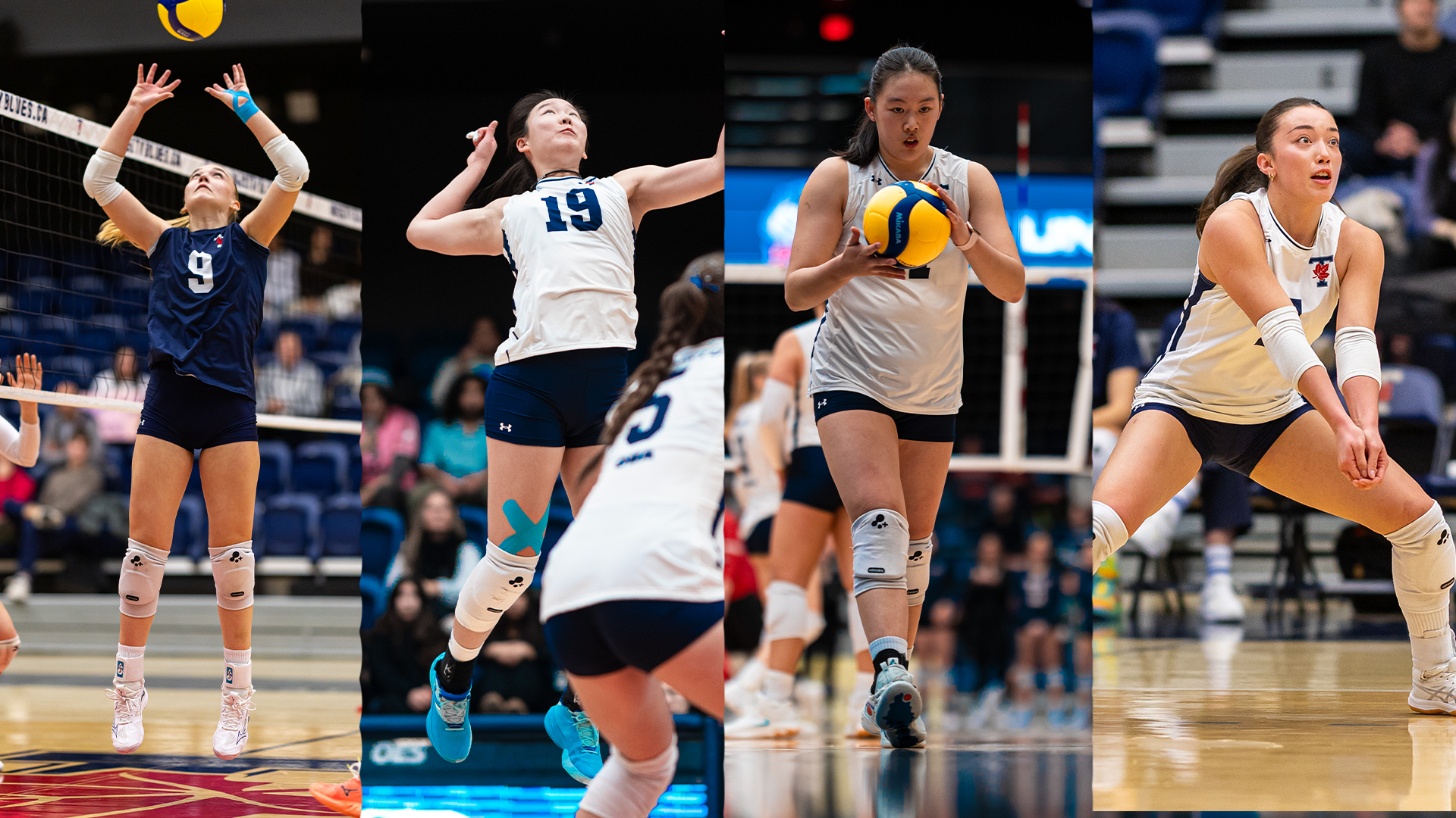 WVB Awards Gustke Liu Zhu Watson