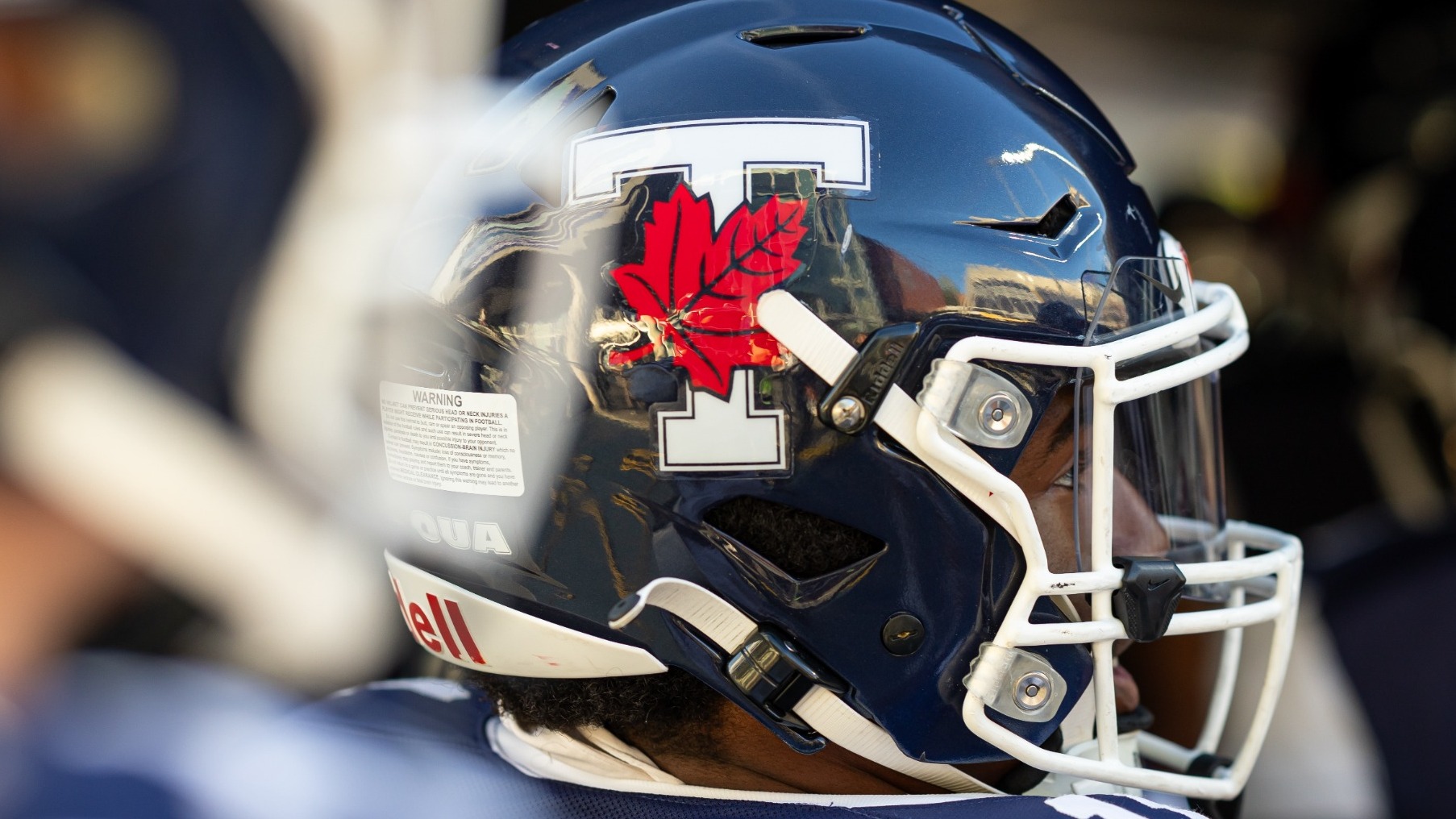 FB T-Leaf Helmet