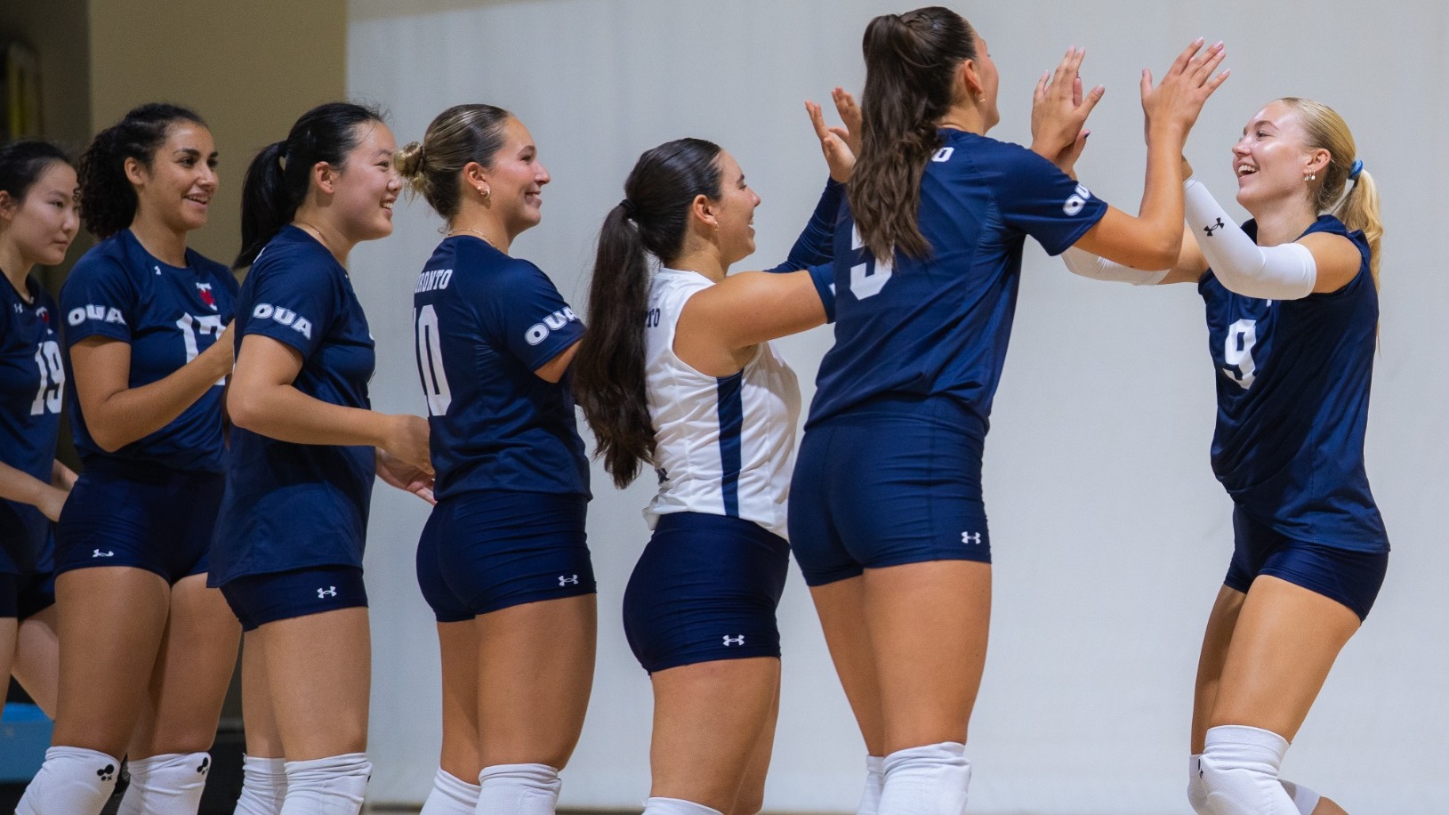 WVB High Fives