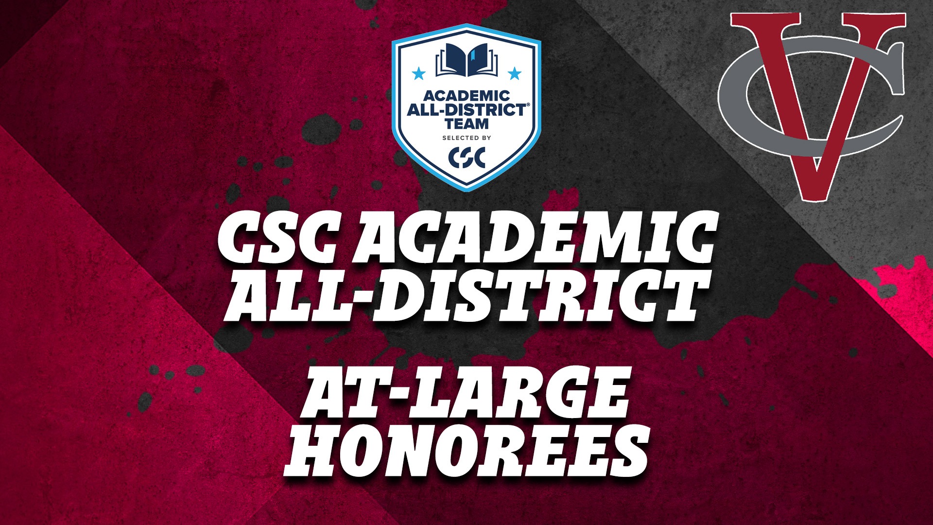 CSC At-Large AAD 2024