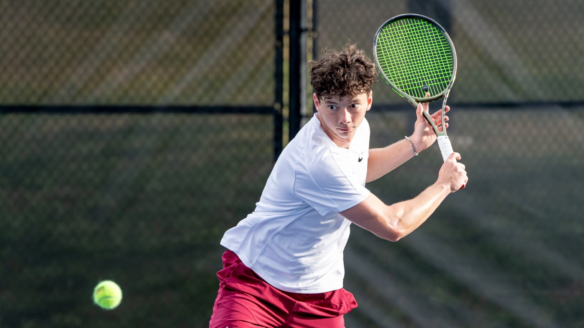 Fernando Bauermeister