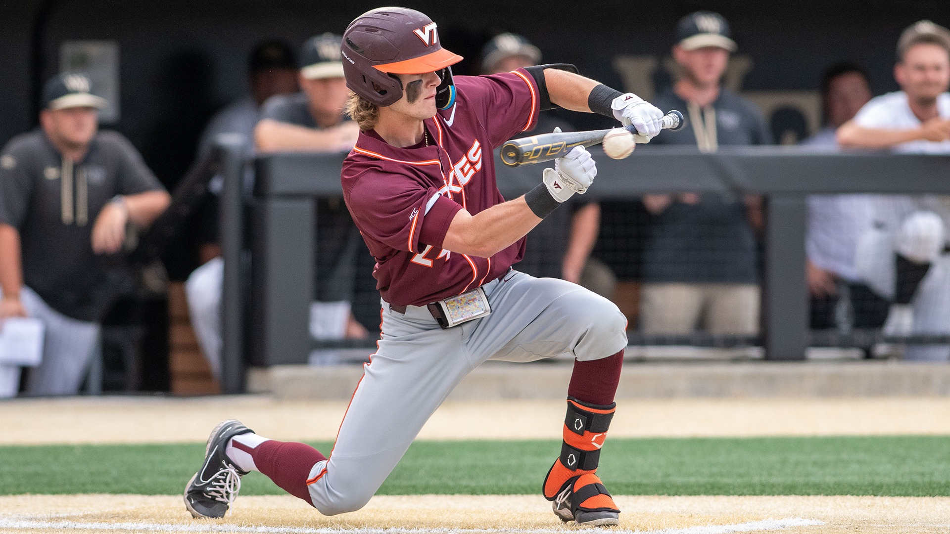 Chris Cannizzaro Baseball Virginia Tech Athletics