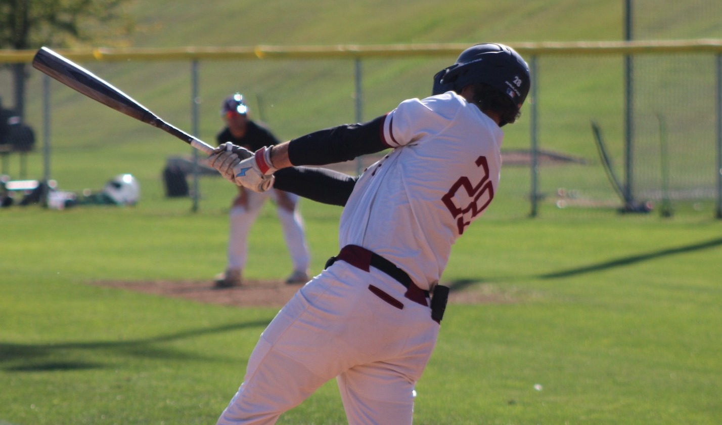 Rozdeba with the swing