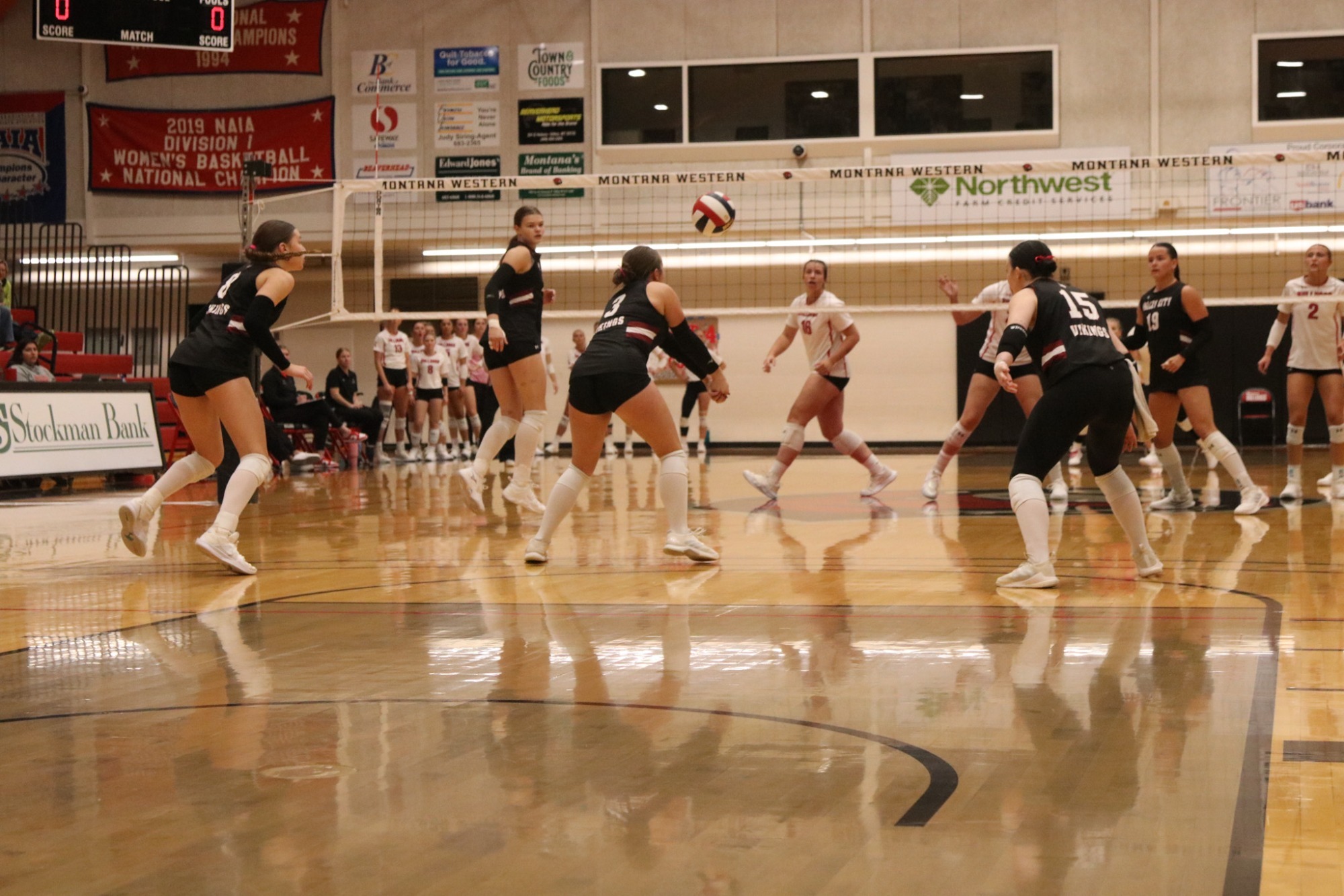 Post-game story- VB at Montana Western 2026, VCSU receives the ball on a Montana Western serve.