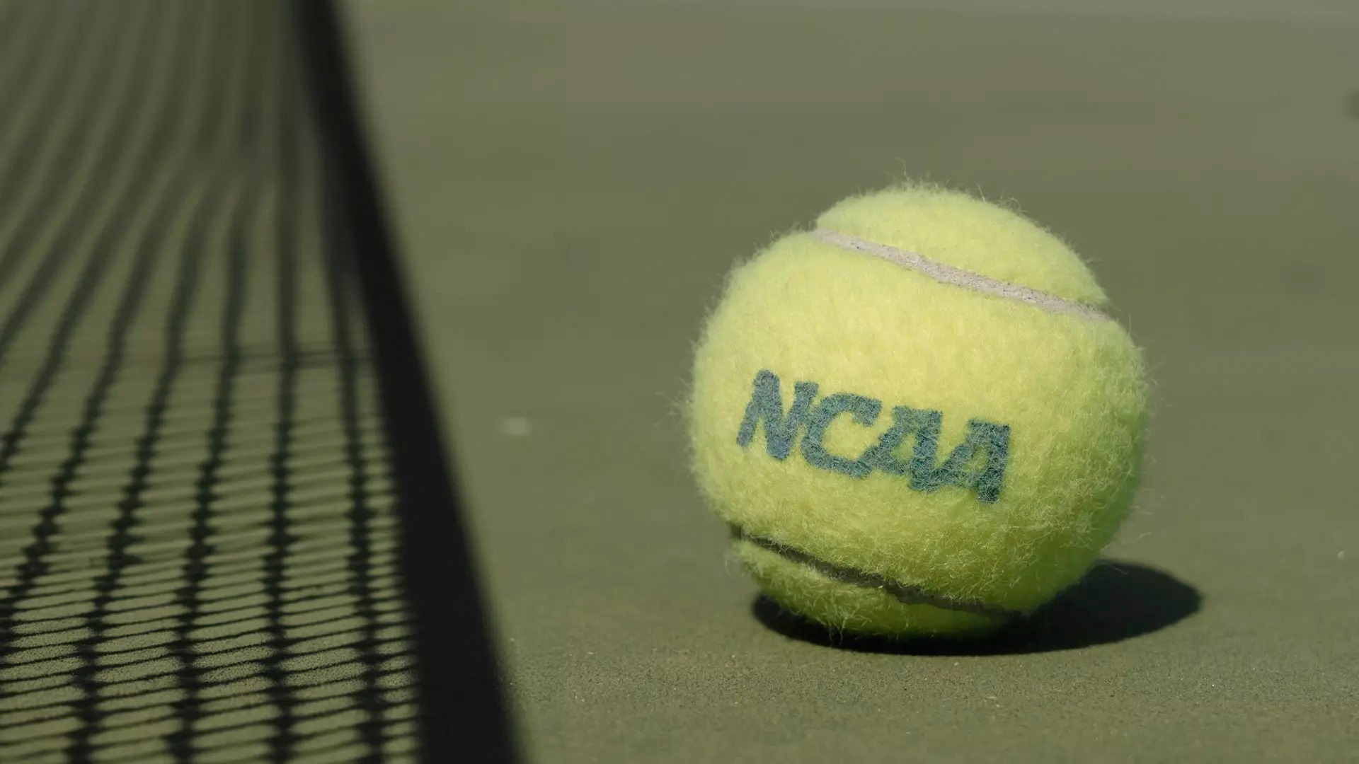 NCAA Tennis Ball
