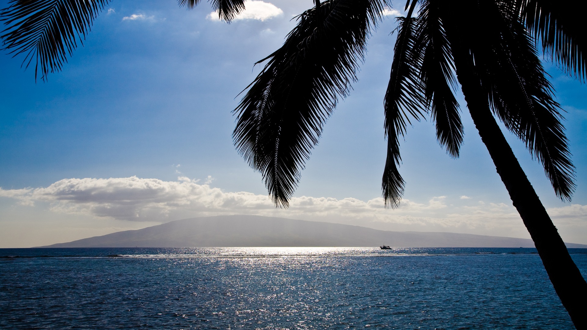 Maui Hawaii scenic shot