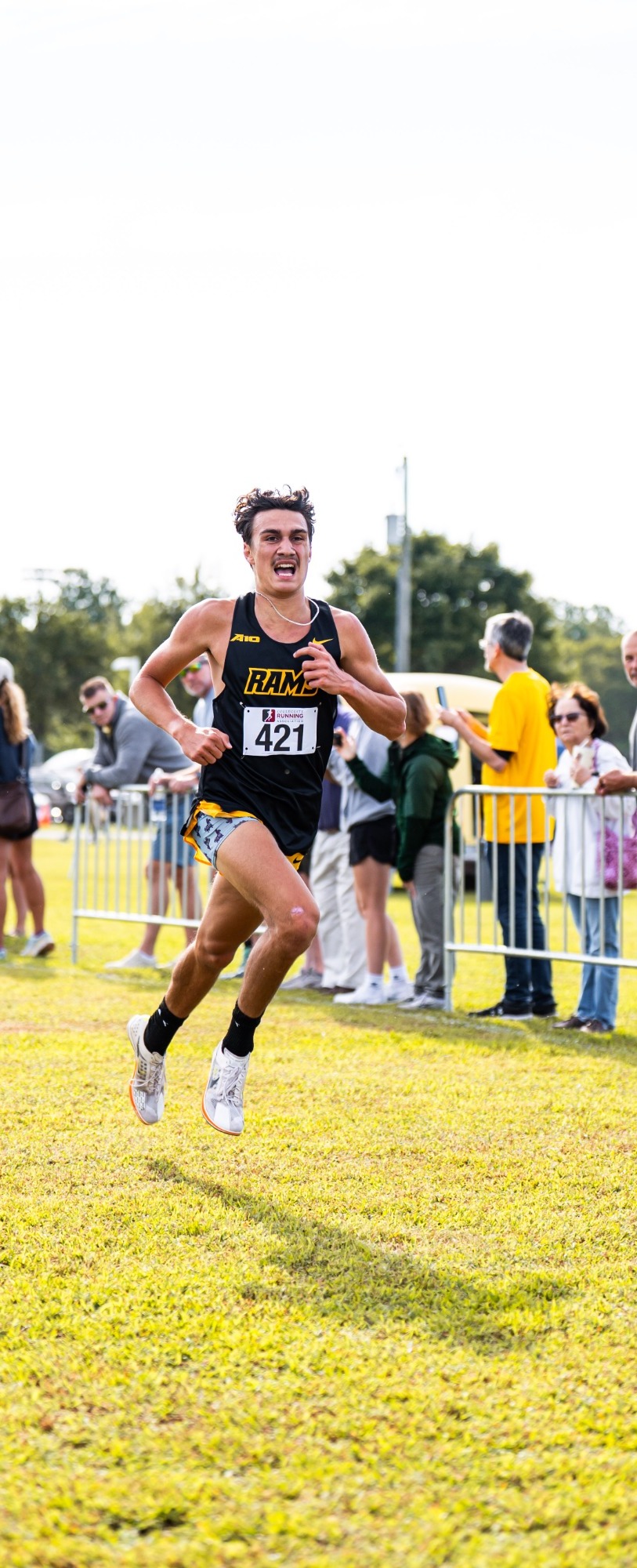 Jonathan Hess Finish