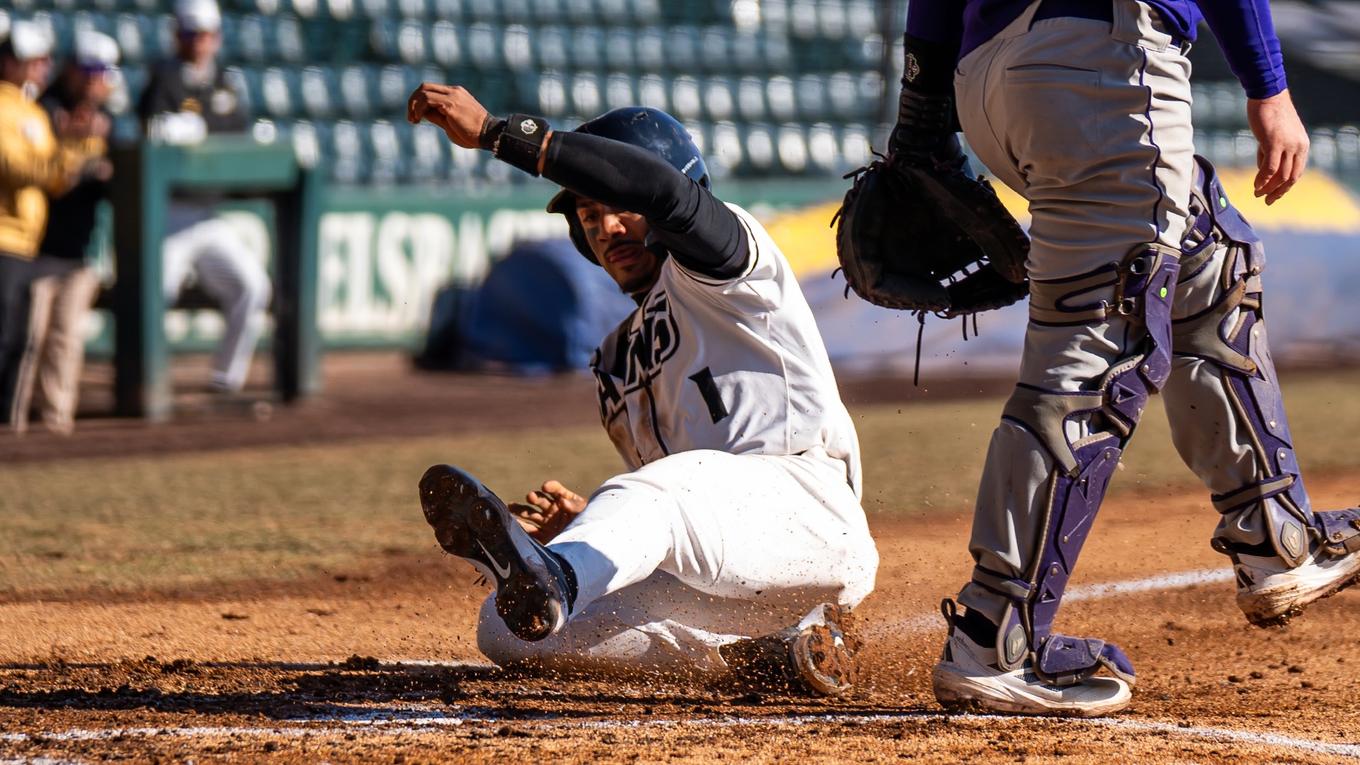 Michael Petite scores run vs. Holy Cross