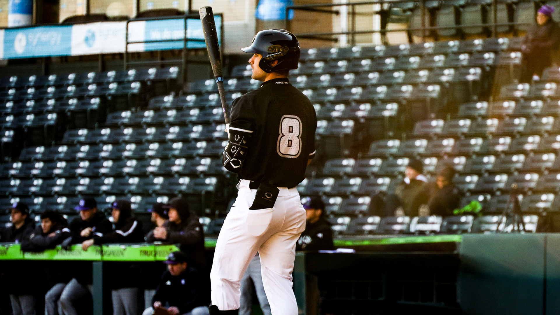 Dante DeFranco at the plate vs. Holy Cross