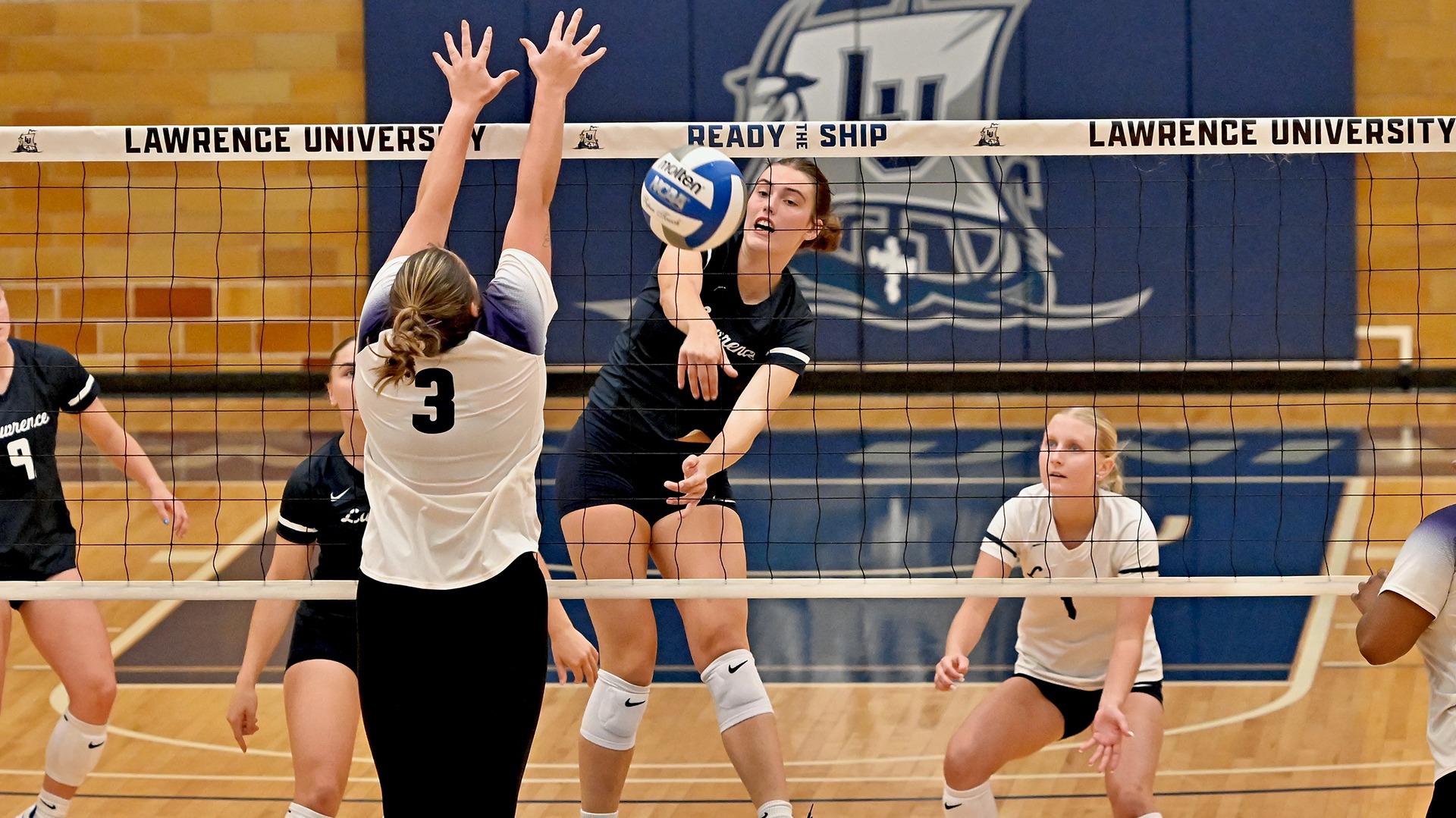 Lawrence volleyball action Audrey Weier