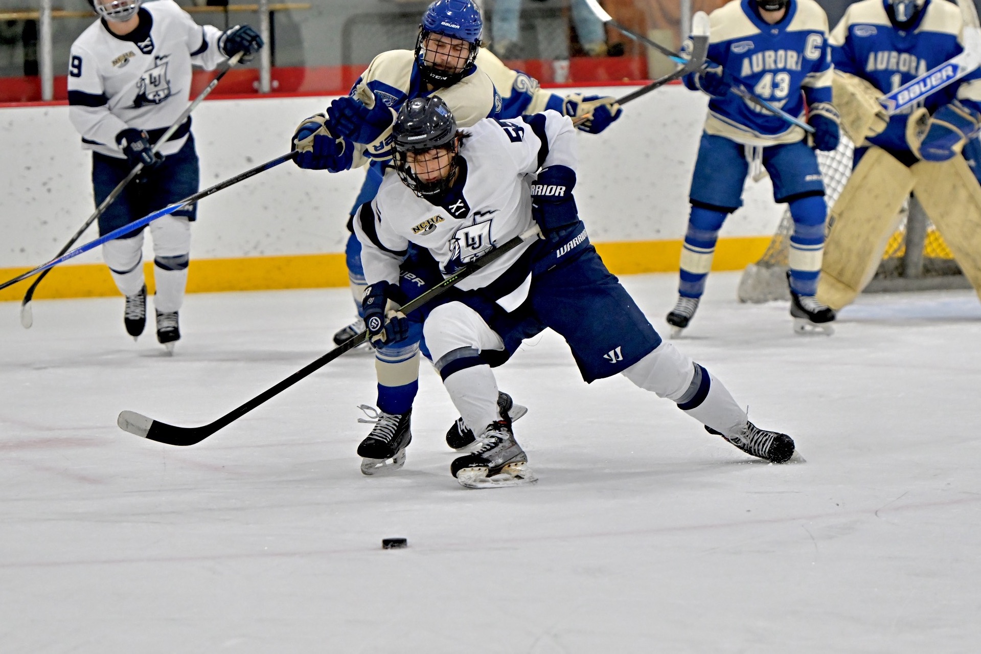 mens hockey action shot of roman cherniak 