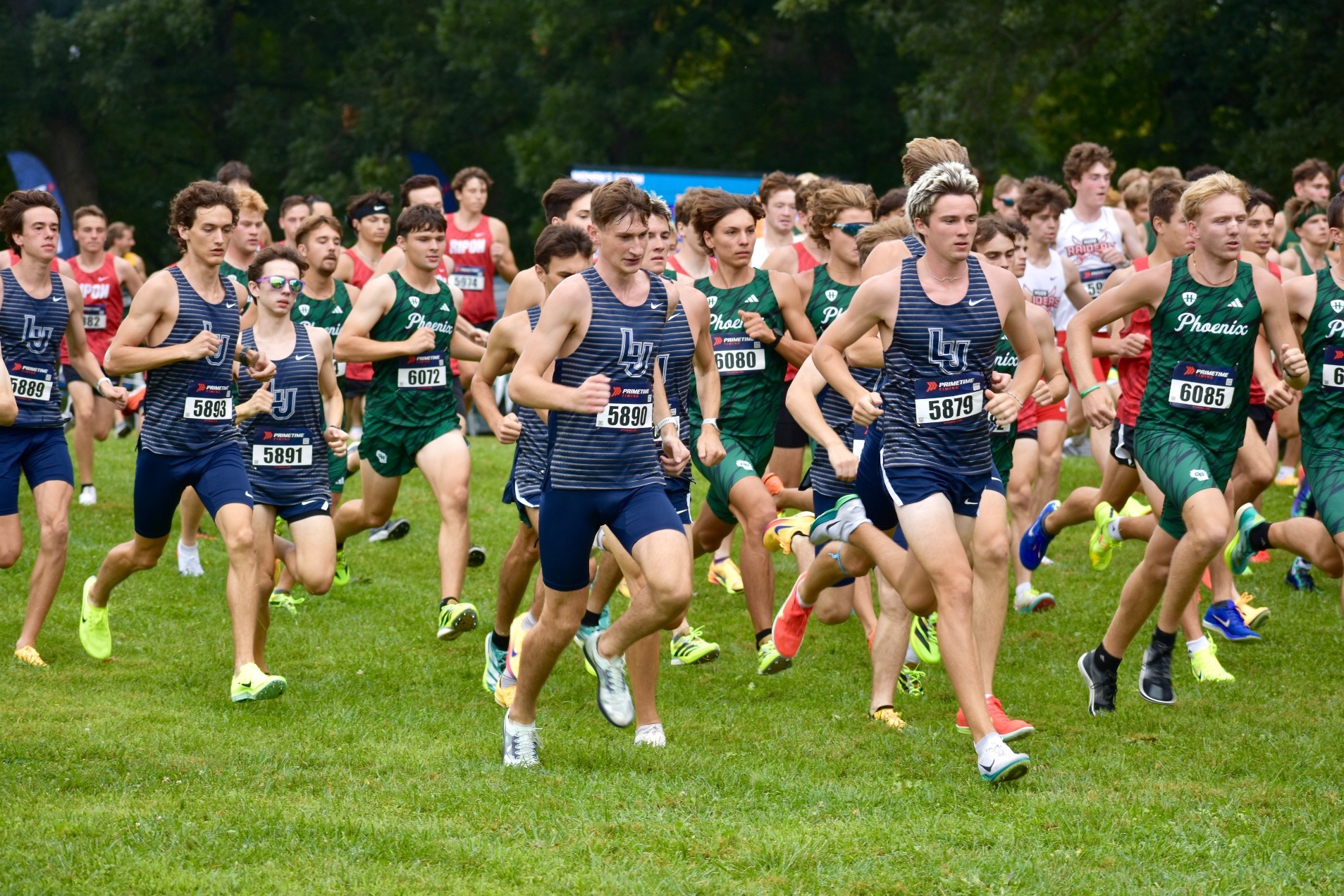 xc 
