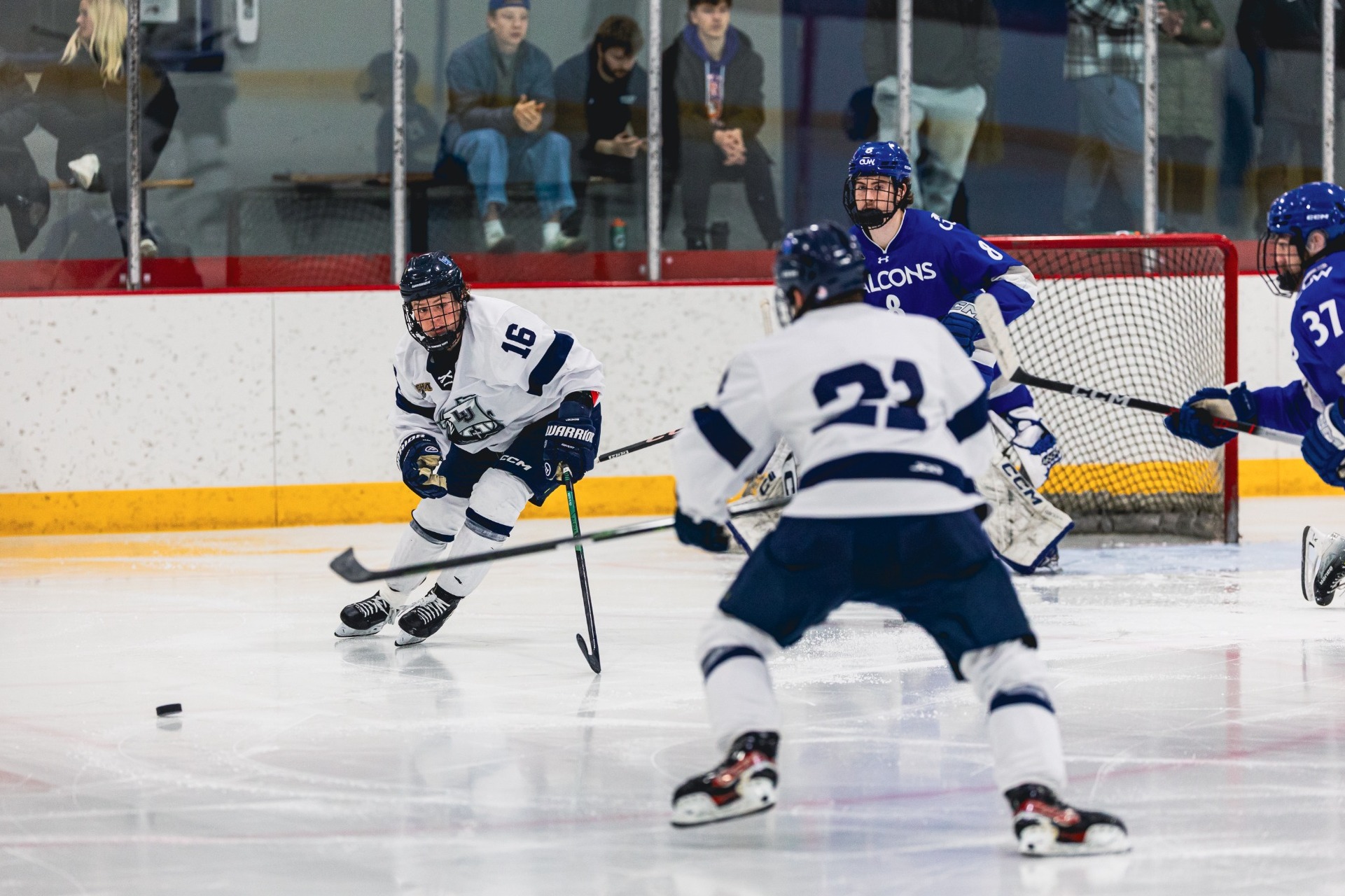 mens hokcey action shot 