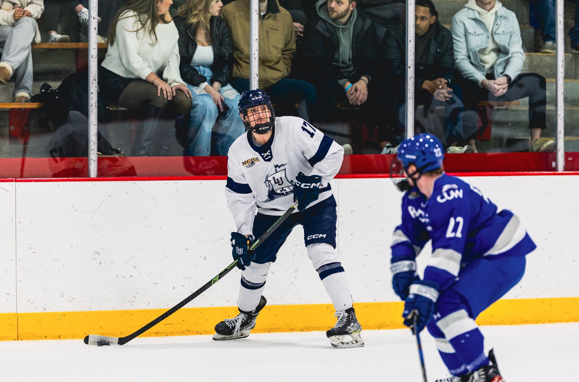 mens ice hockey action shot 