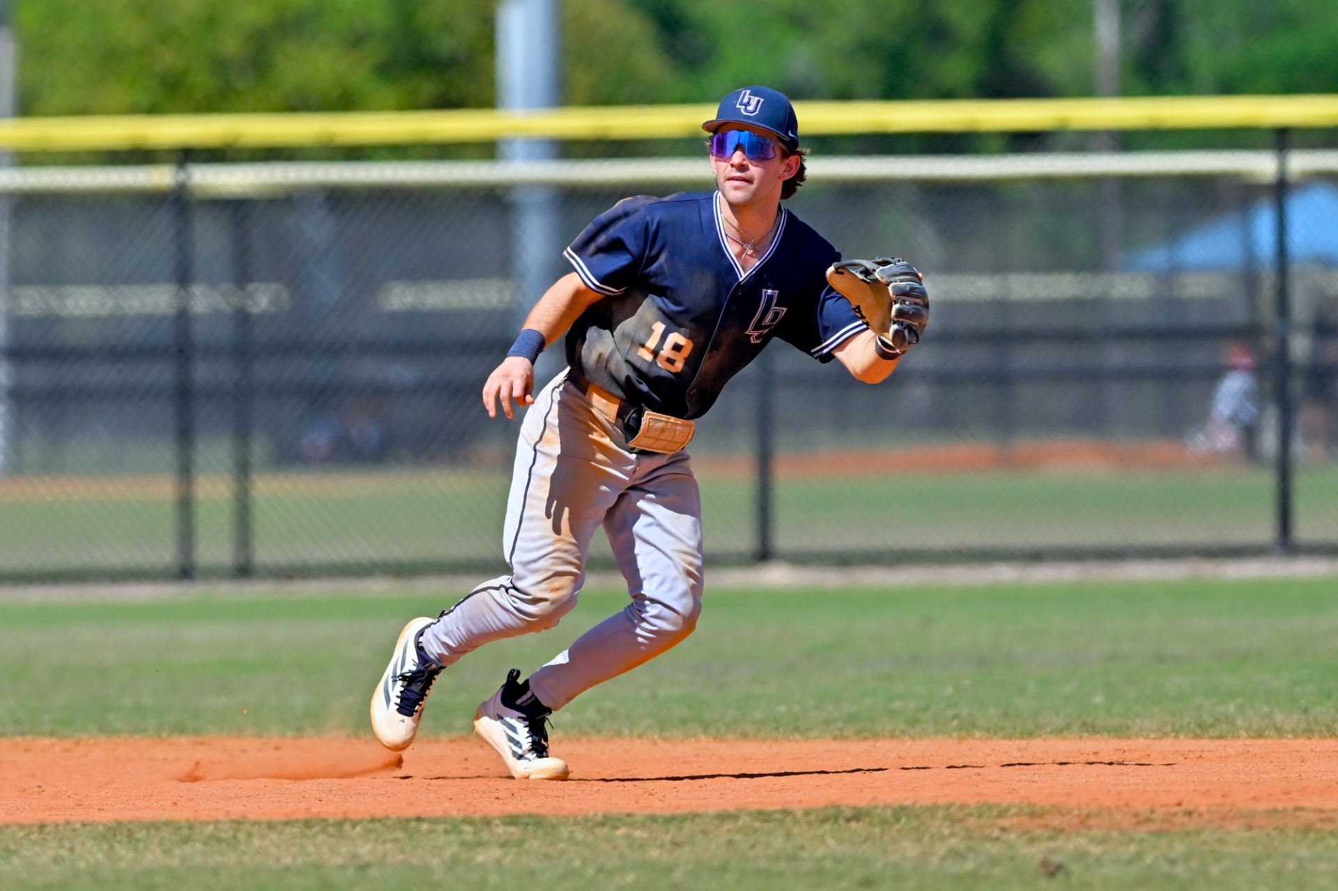 baseball fl action shot 