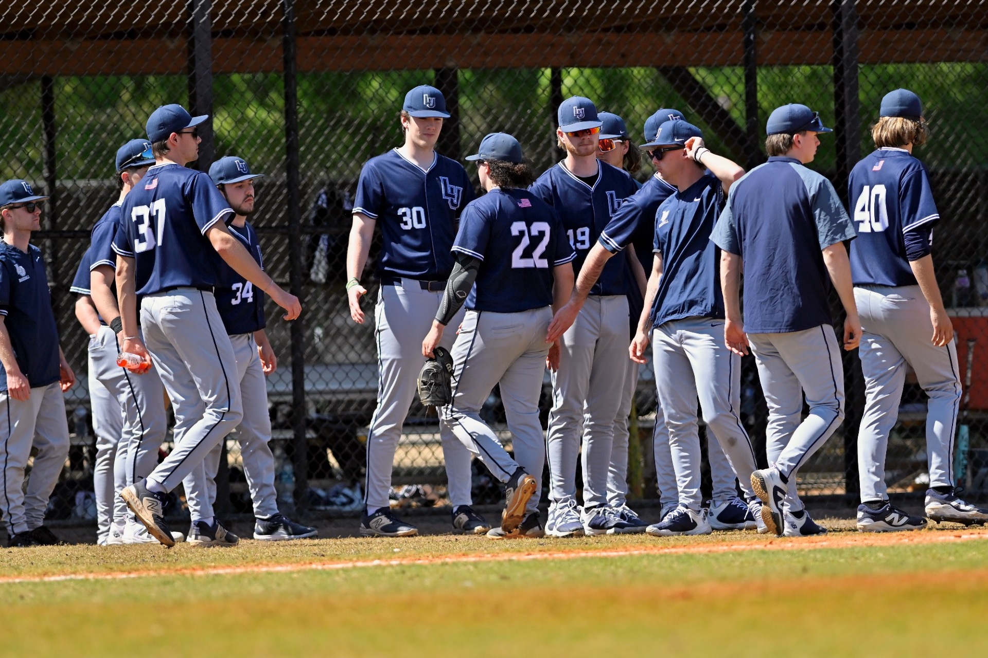 team shot of baseball 