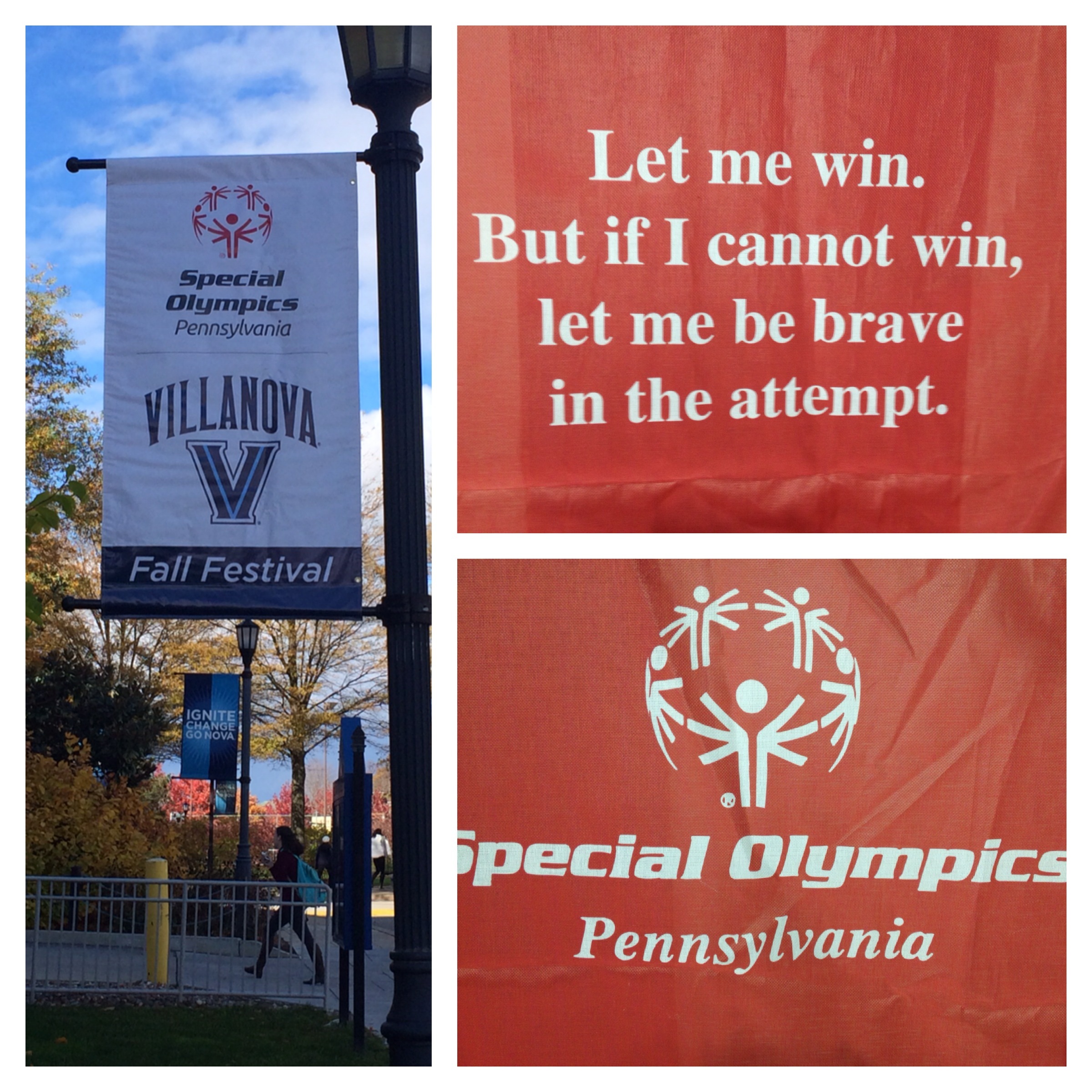 Every team participated in volunteering this beautiful fall weekend