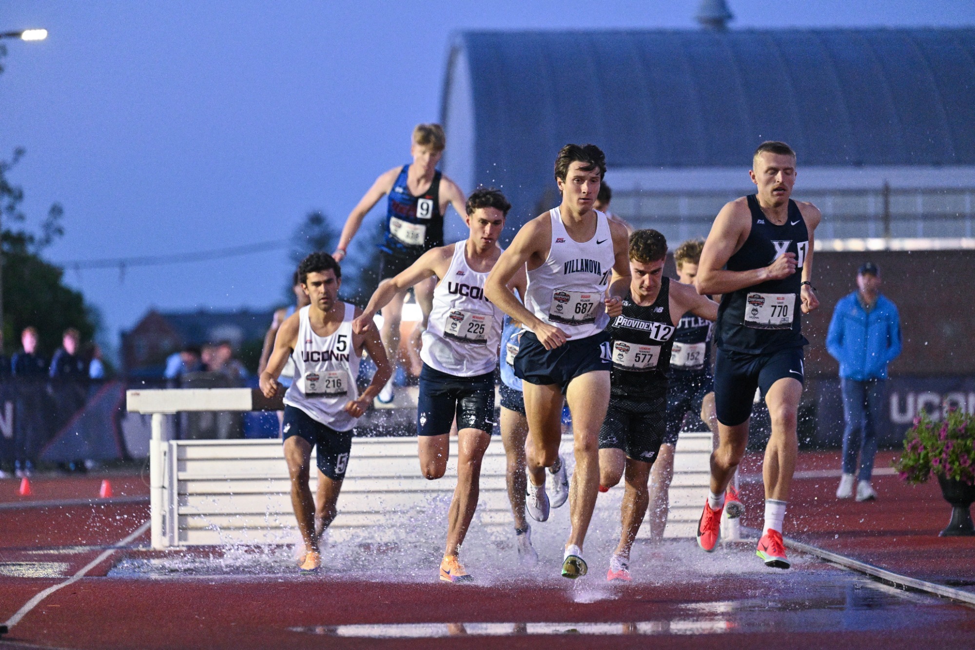 Matt Bogdan