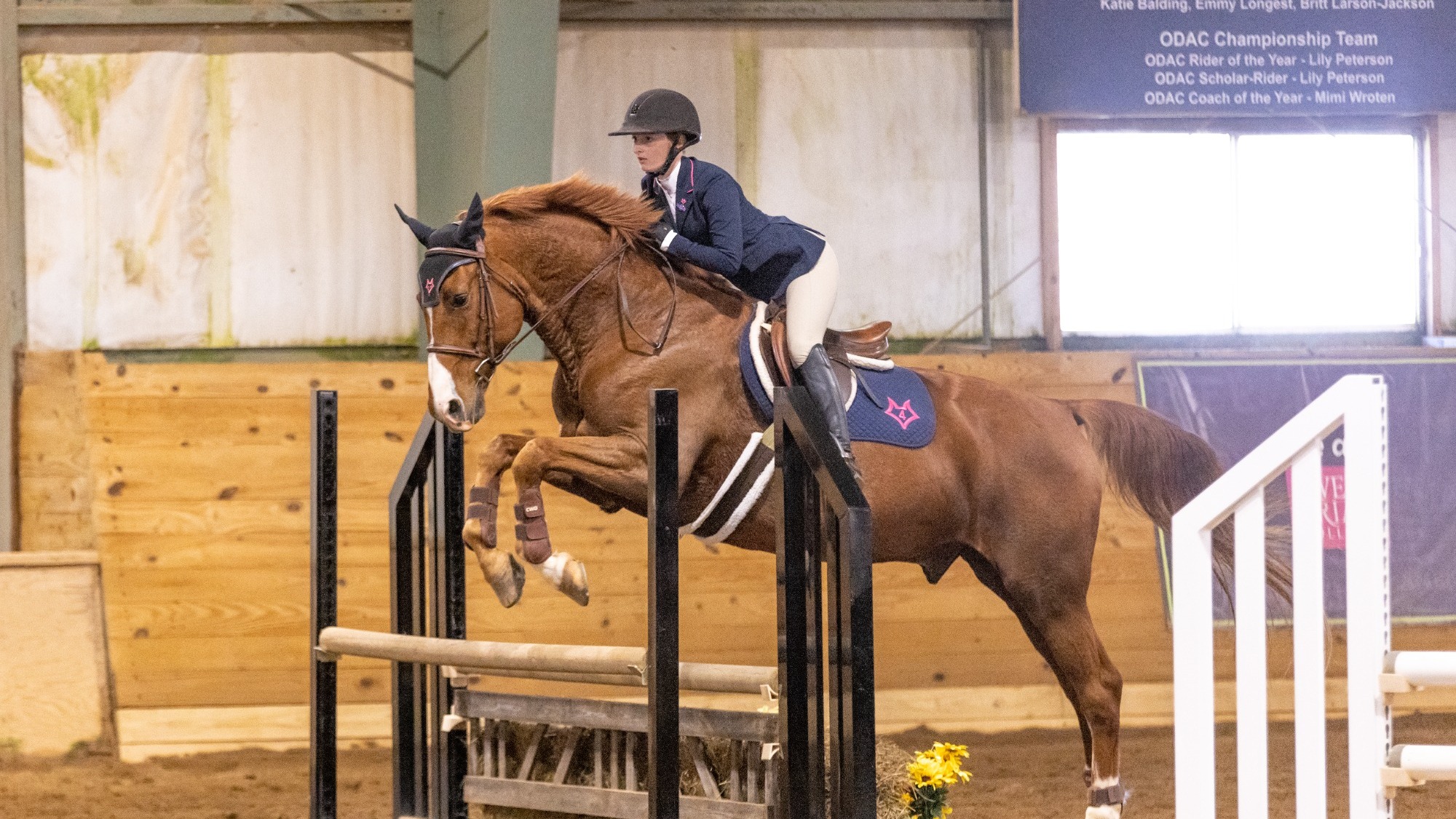 Naomi Dachis Action Shot 24-25