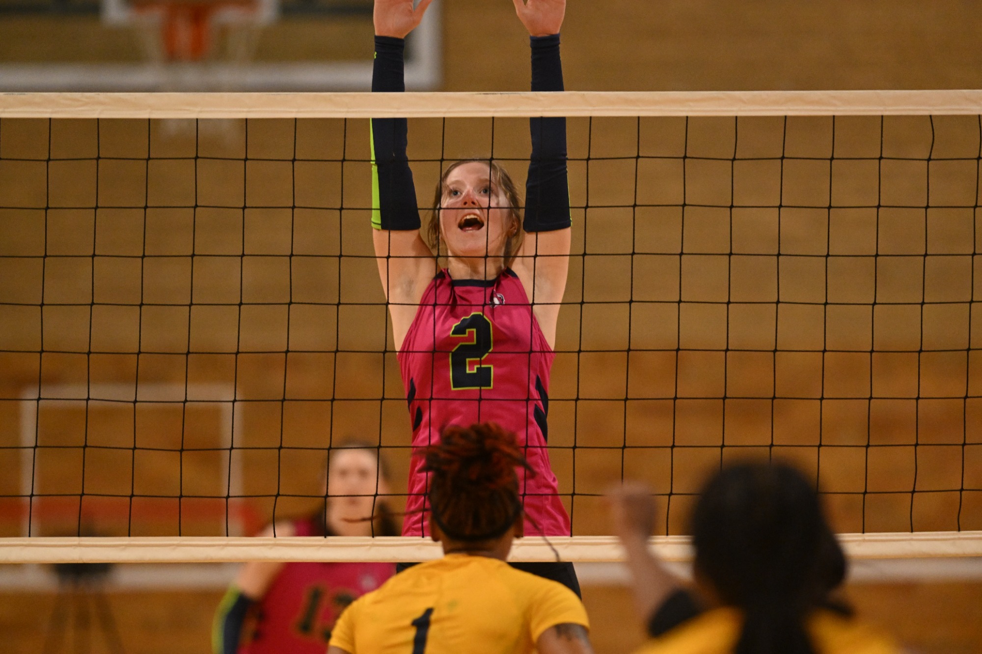 Isabella Peregrine VB Action Shots 2526